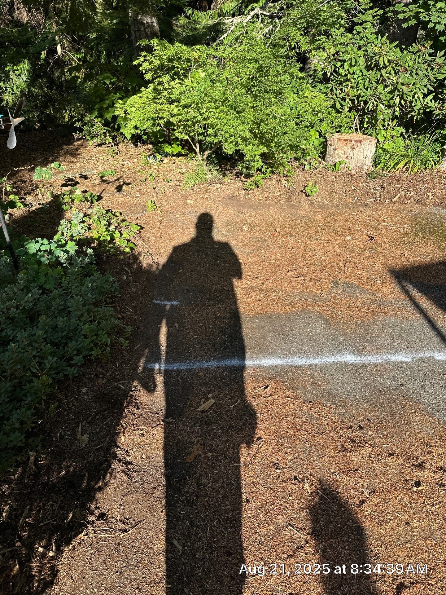 Asphalt Patch Repair & Sealcoat | Monroe  by Jireh Asphalt & Concrete Inc 