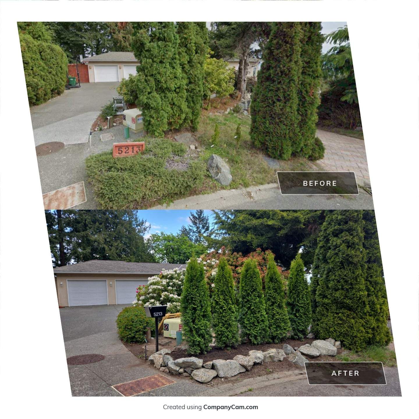 Hedge Installation – Privacy Enhancement and Visual Framing by Habanero Garden and Exterior Care