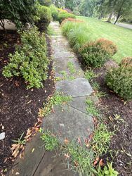 Paver Sealing & Polymeric Sand in Branchburg, NJ — Gallo Bros job photo