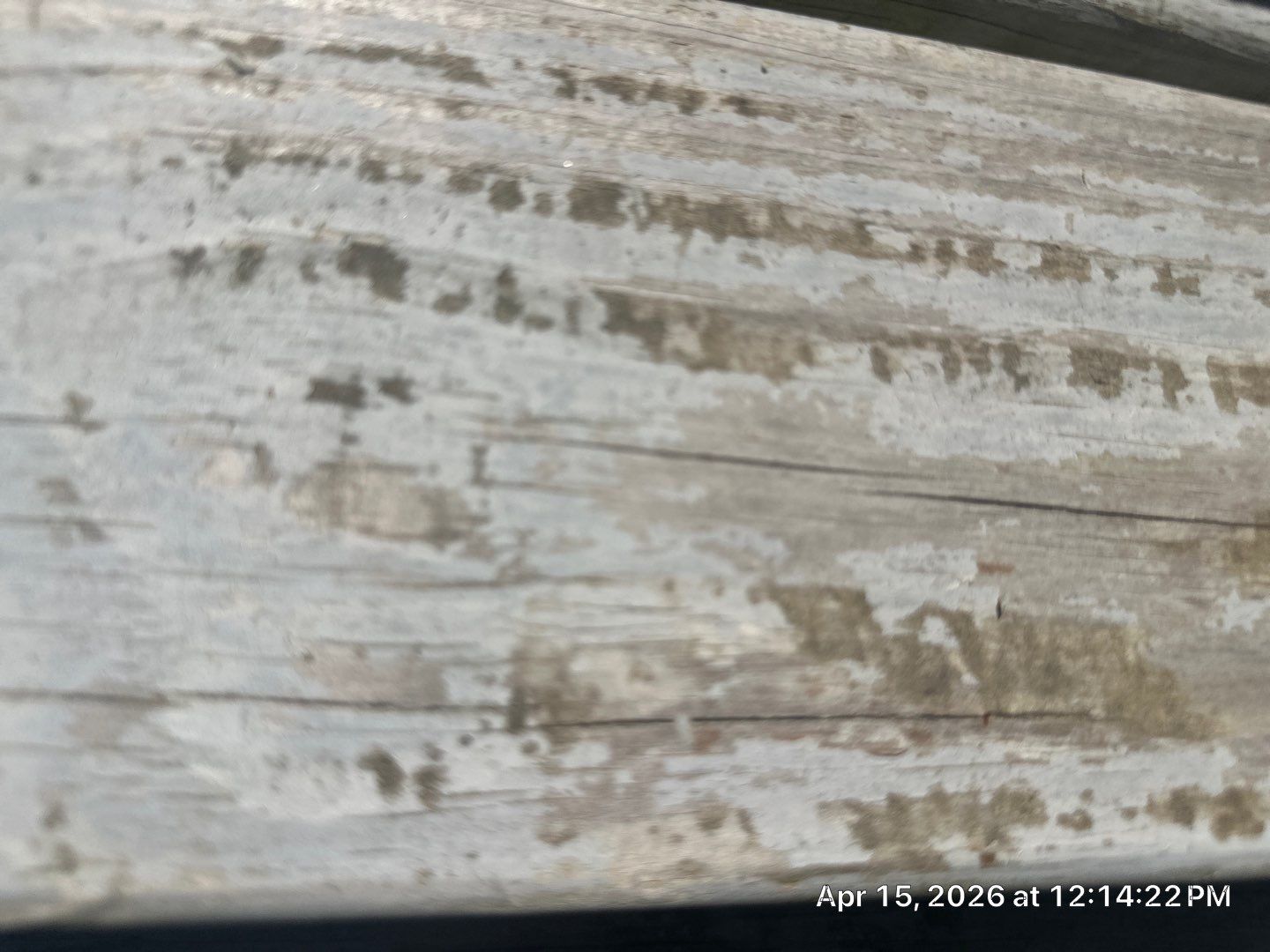 Deck using Wood Sealant by DuraSeal