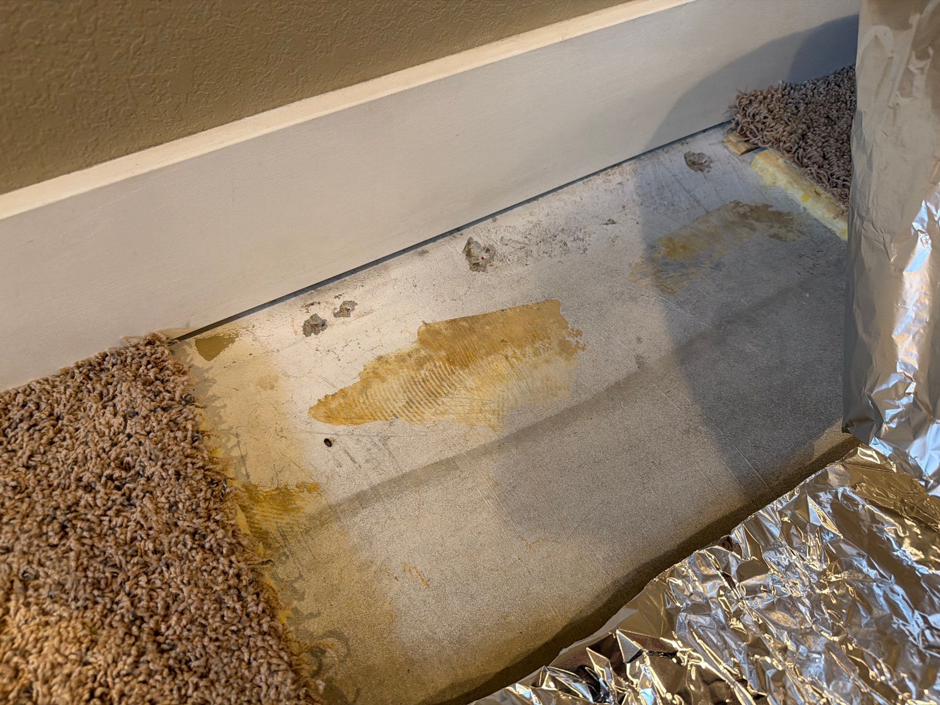 Decorative Flake Concrete Floor Coating for Larchwood Basement by Select Painting, Coatings & Garage Cabinets