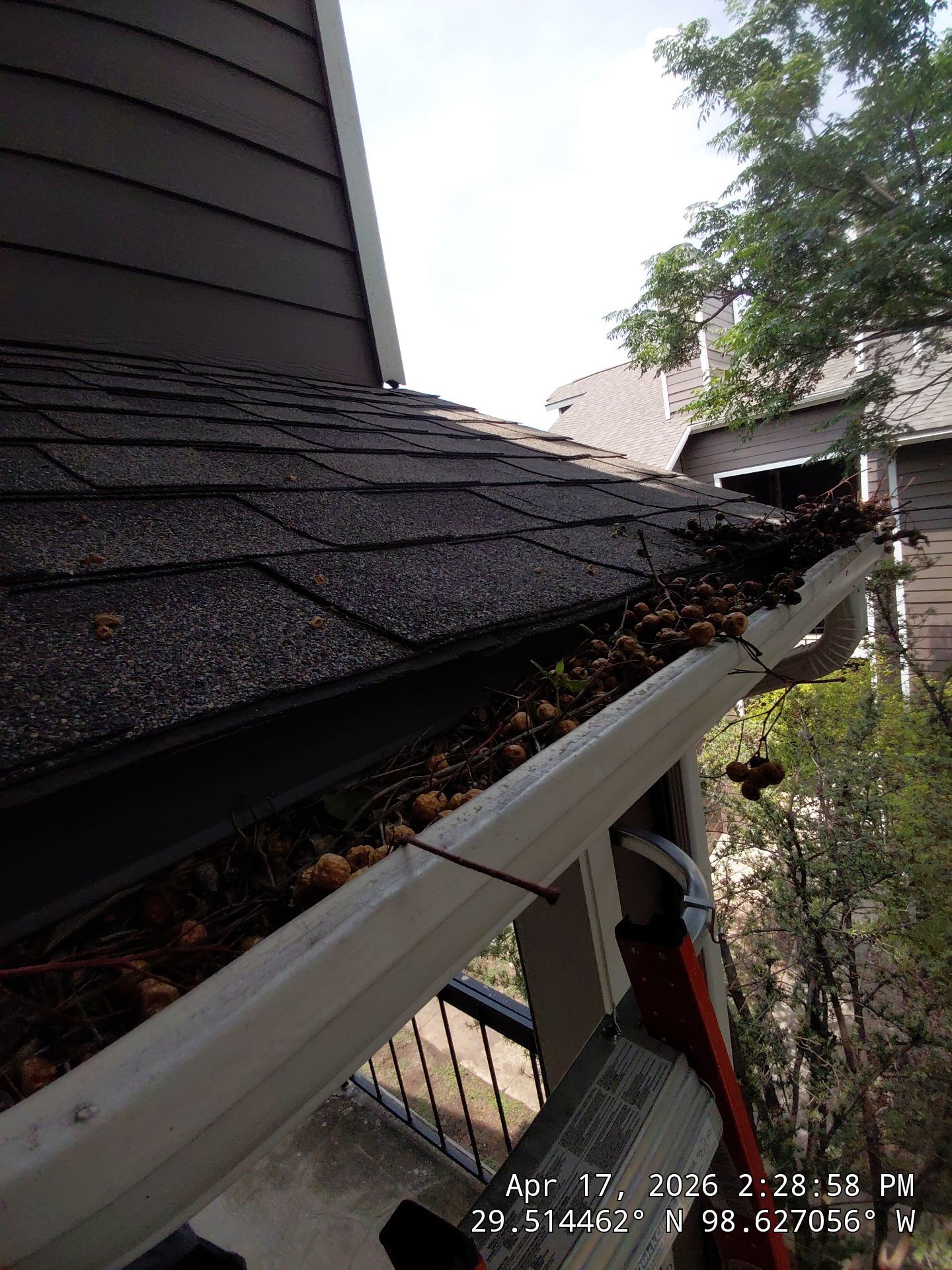 HOA gutter cleaning before photo
