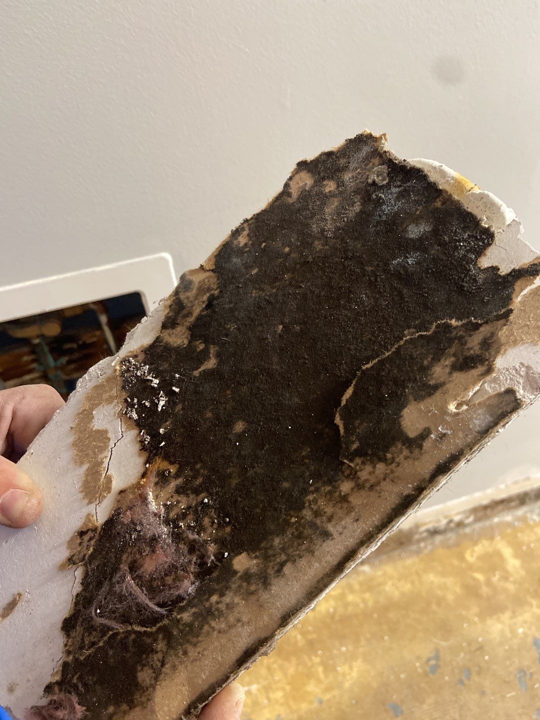 Mold Remediation in Barracks by EAS Environmental, LLC.