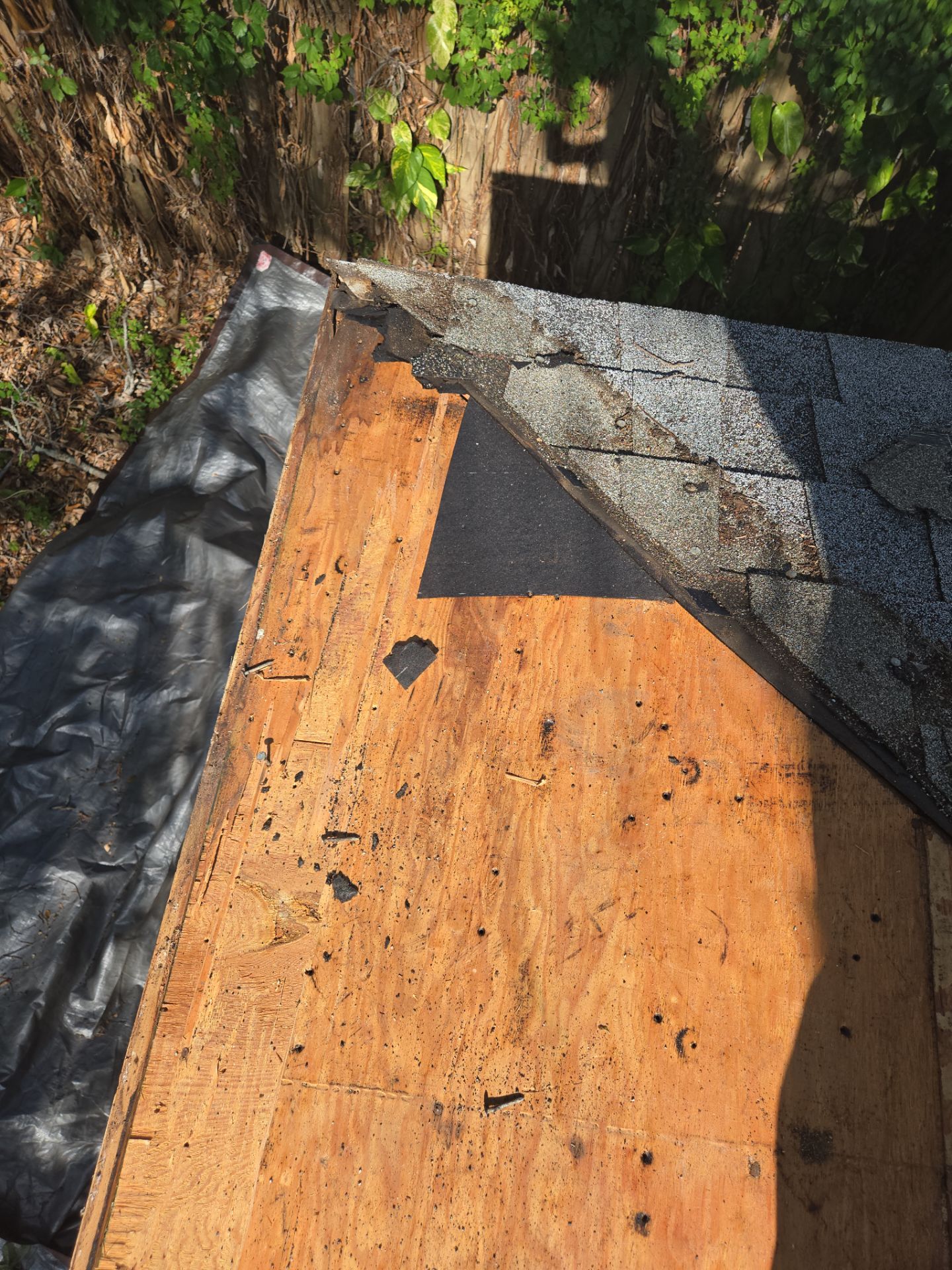 Project in St. Petersburg 33709 by Mitchell Roofing Company LLC 