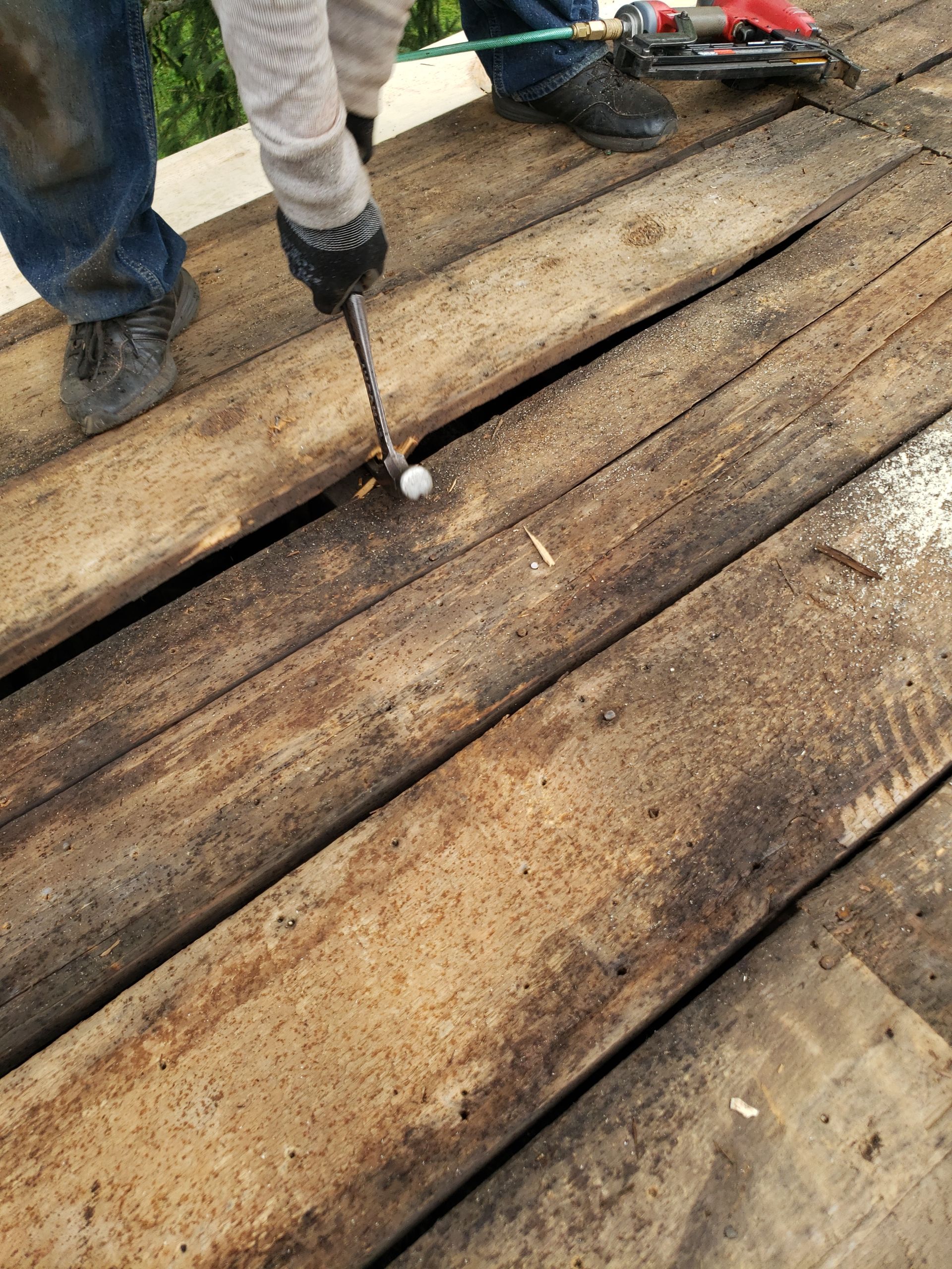 ATLAS PINNACLE COLOR: MAJESTIC SHAKE DRIP EDGE: WHITE by Eagle Eye Roofing