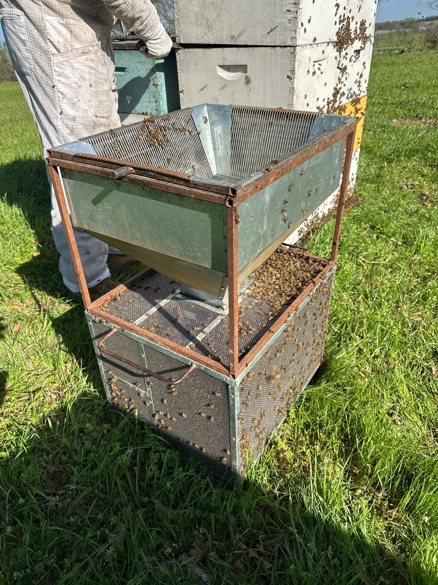 Peanut Farm Apiary by Rockwall Honey Bee Company