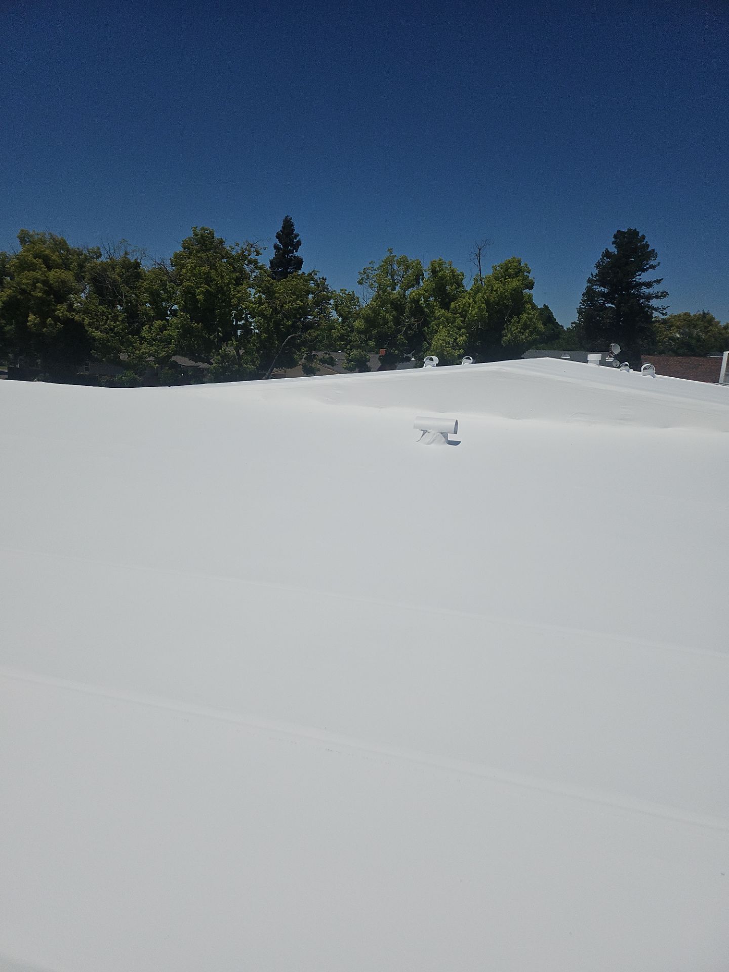 Single-ply restoration system using Benchmark/PUMA XL coatings over TPO single-ply roofing by Straight Edge Roofing Inc
