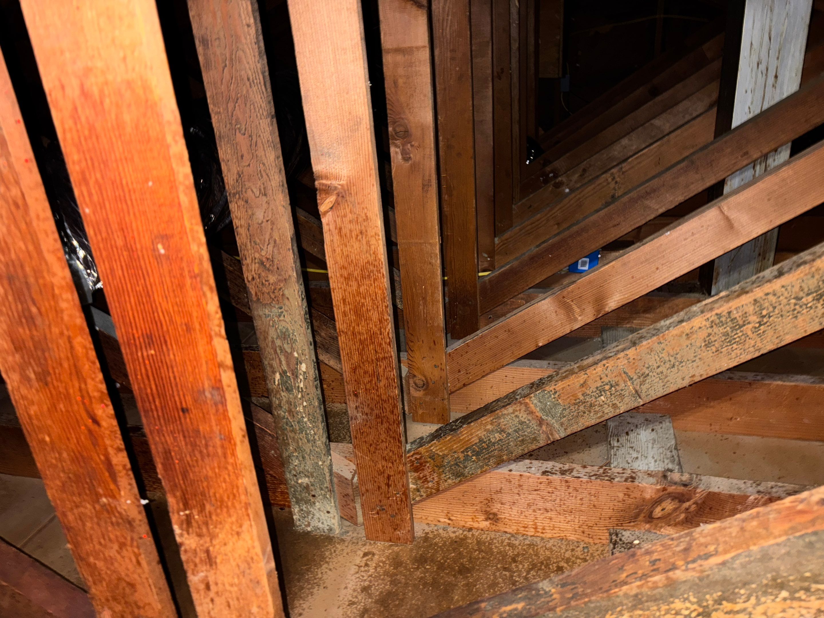 Project in Inglewood by Insulation Labs