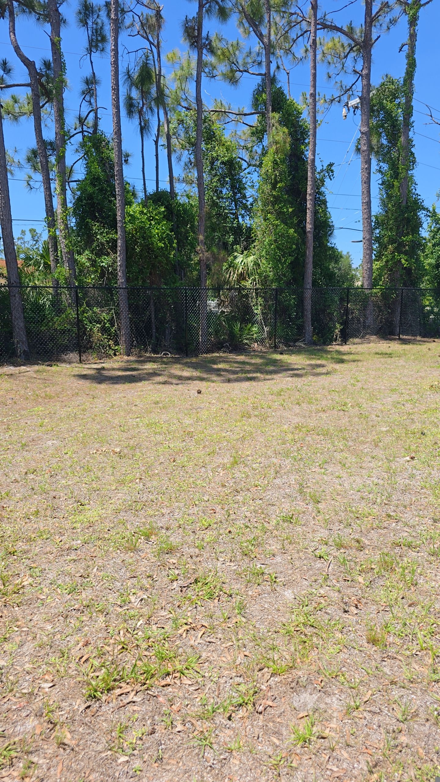 Black Chain Link Fence in North Port by True Fence LLC