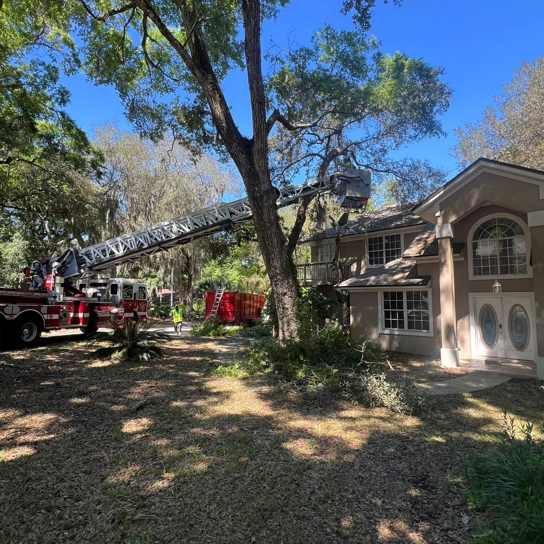 Tree Trimming | Hidden Hills by ProGreen Services