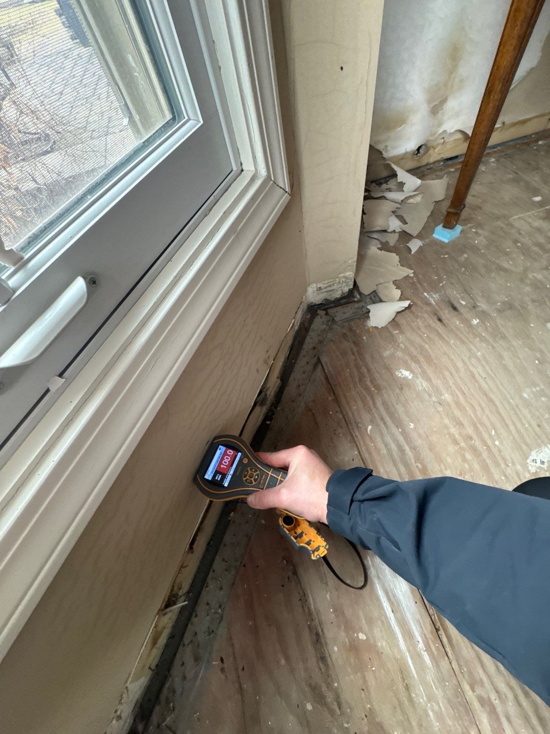 Project in Plymouth by EzDry Water Mitigation & Property Restoration