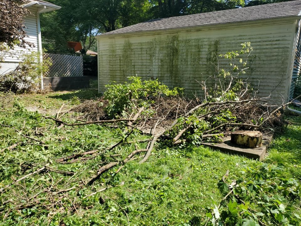 Storm Damaged Tree Removal  by Mike Jones & Sons Tree Service LLC 