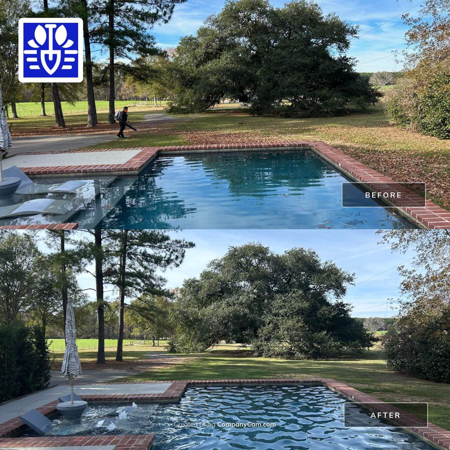 WINTER SERVICES: FULL LEAF JOB by CutScape, LLC.