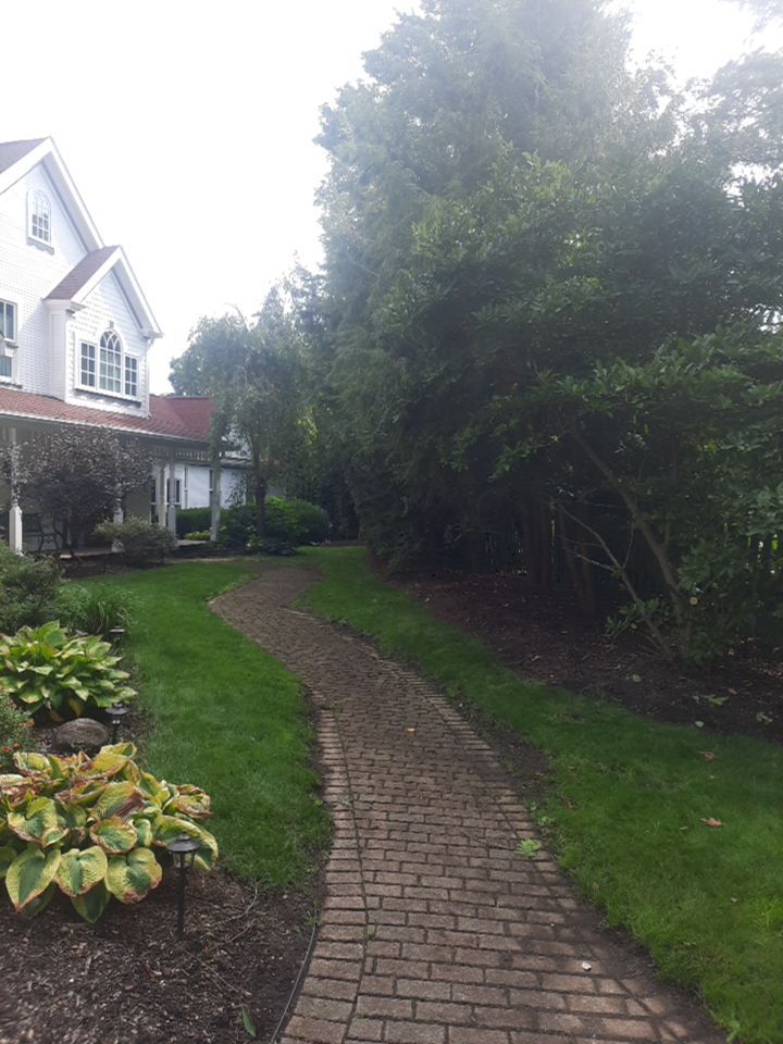 Tree Trimming using Tree Pruing by Mike Jones & Sons Tree Service LLC 