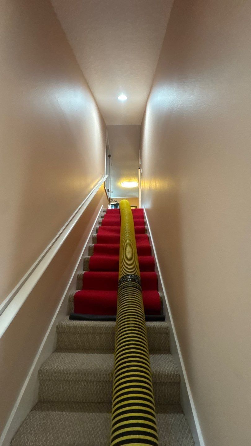Air duct and Bathroom Exhaust Cleaning in Apopka by Hygienic Air, Inc