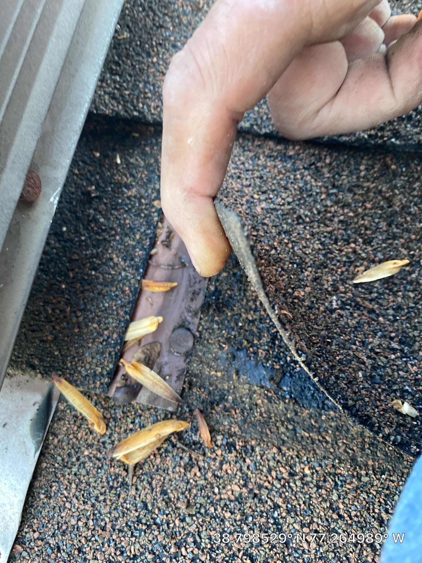 Burke: CertainTeed Landmark Pro Designer Shingles in Max Def Shenandoah by RM Banning, Inc.