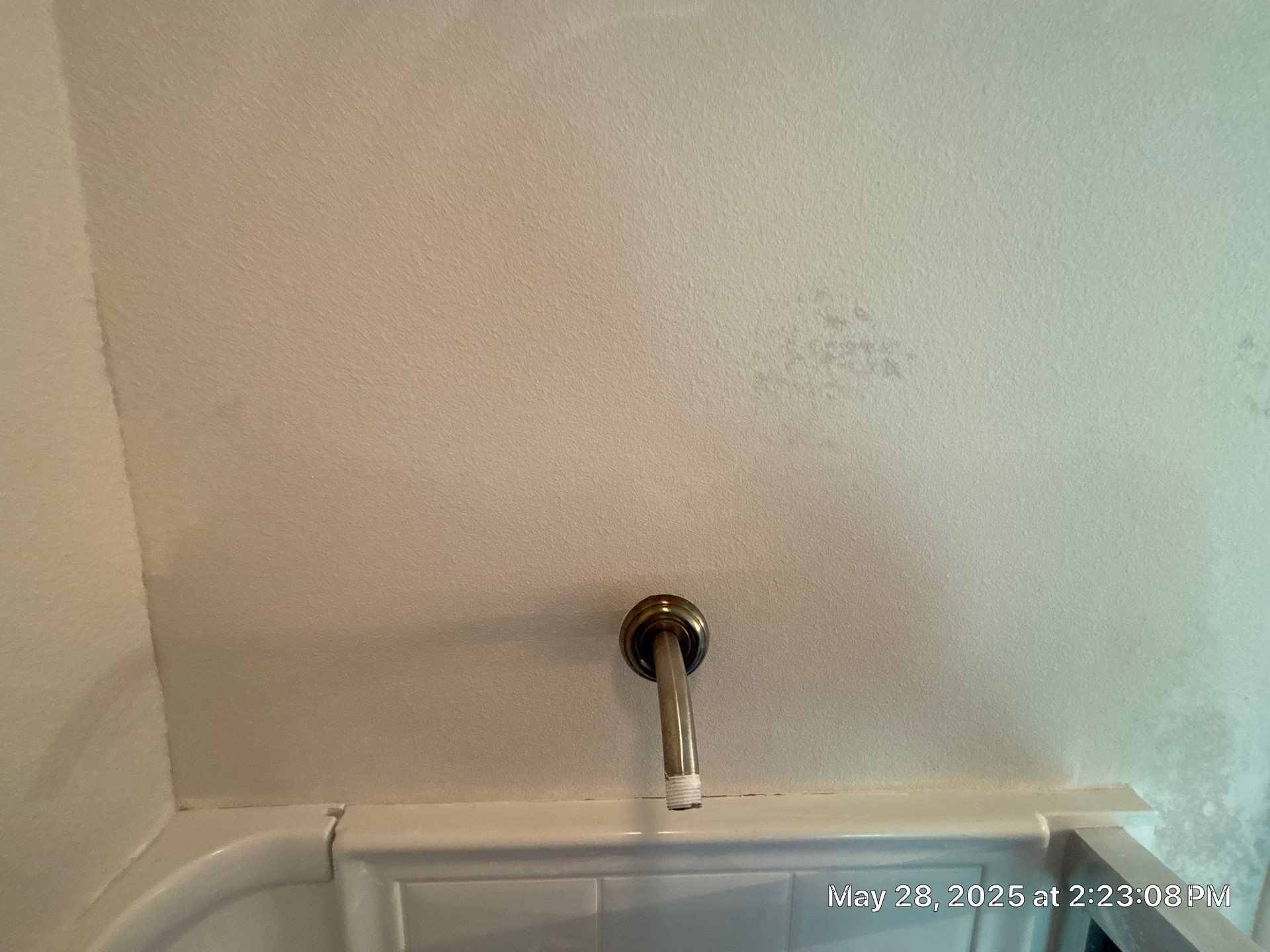 Tampa Mold Removal by Ampm Restoration Services