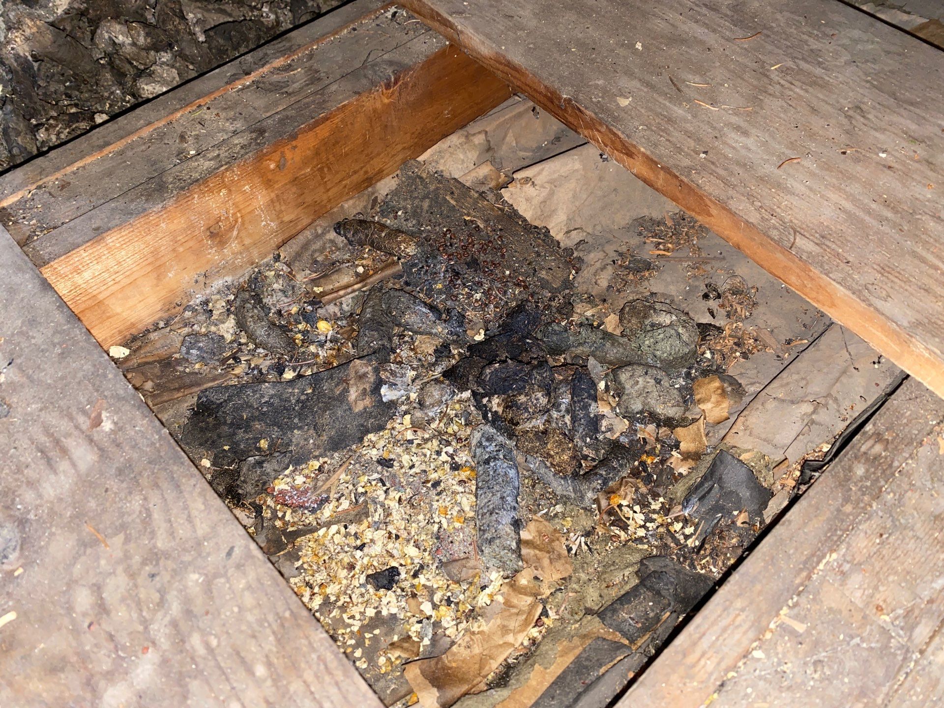 Rodent cleanup and insulation upgrade in Beaver Falls, PA 15010 by Home Environment Solutions