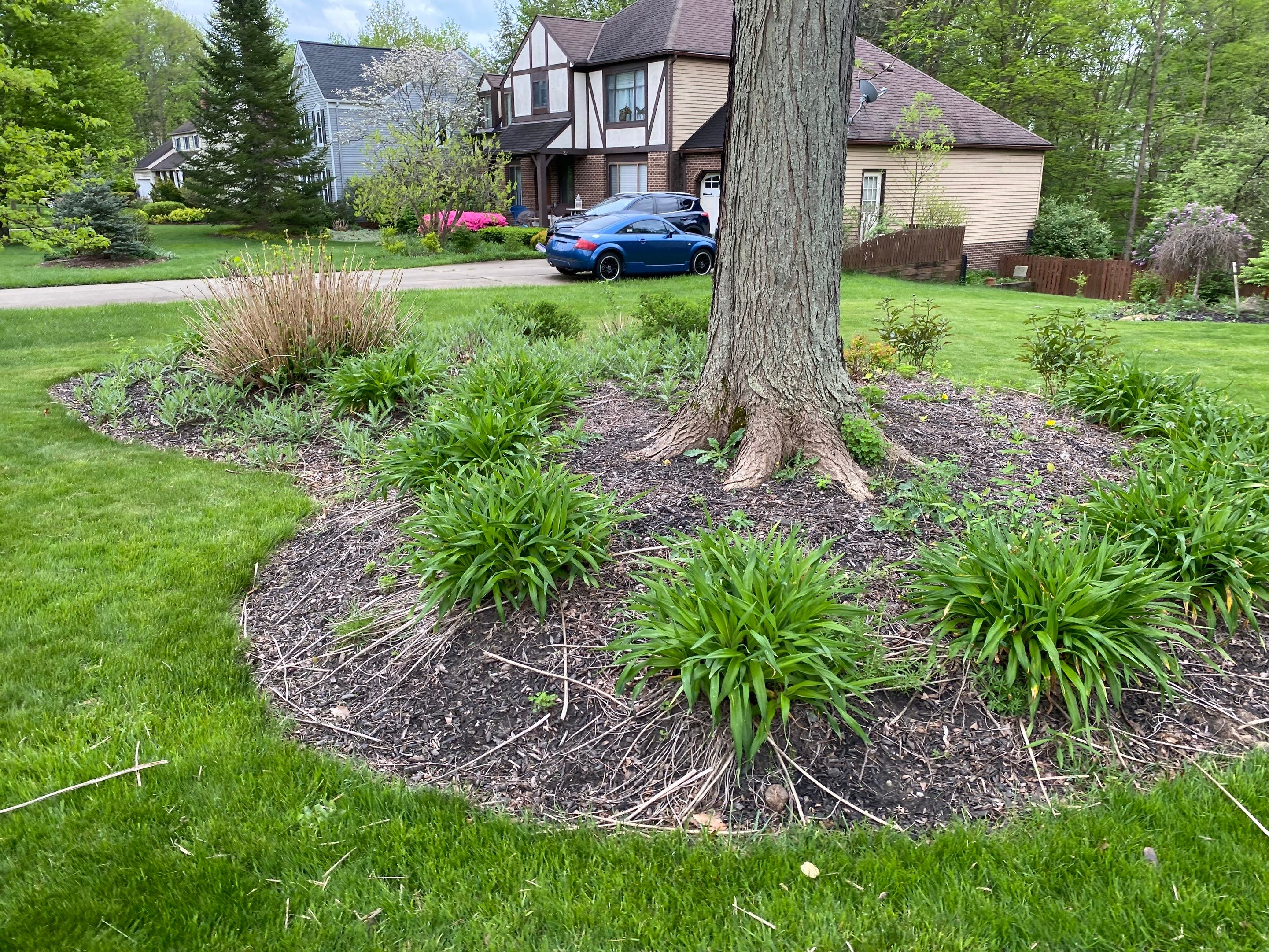 Curved Edge Maintenance by Elm Rose Gardens