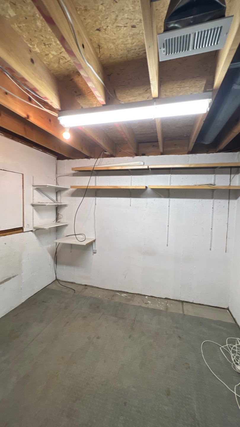 Mold Damage by Accountable Home Services