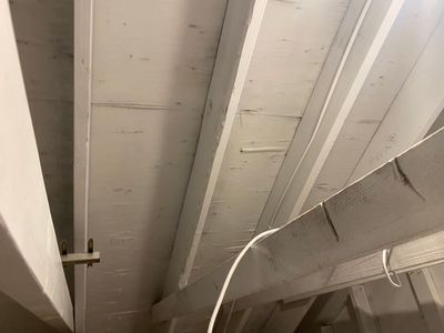 Attic Mold Remediation Job in Vernon Township, NJ