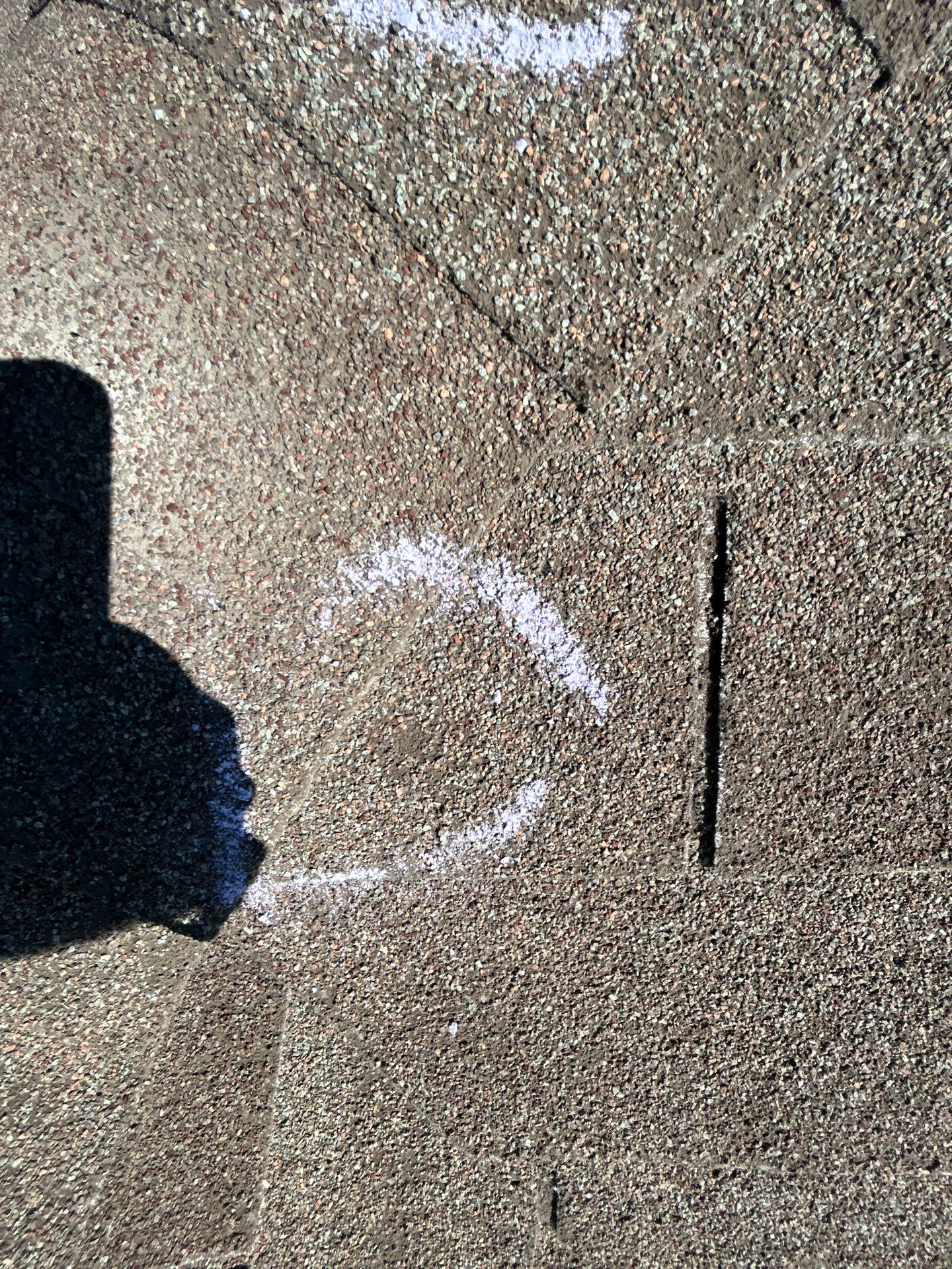 Miss Bridgette by REPS OF TEXAS