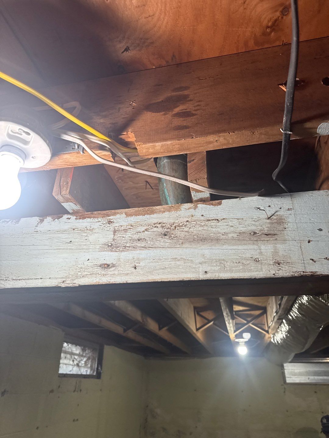 Post‑Remediation Clearance Test & Corrective Mold Remediation, Dover, DE. by Healthy Home Solutions