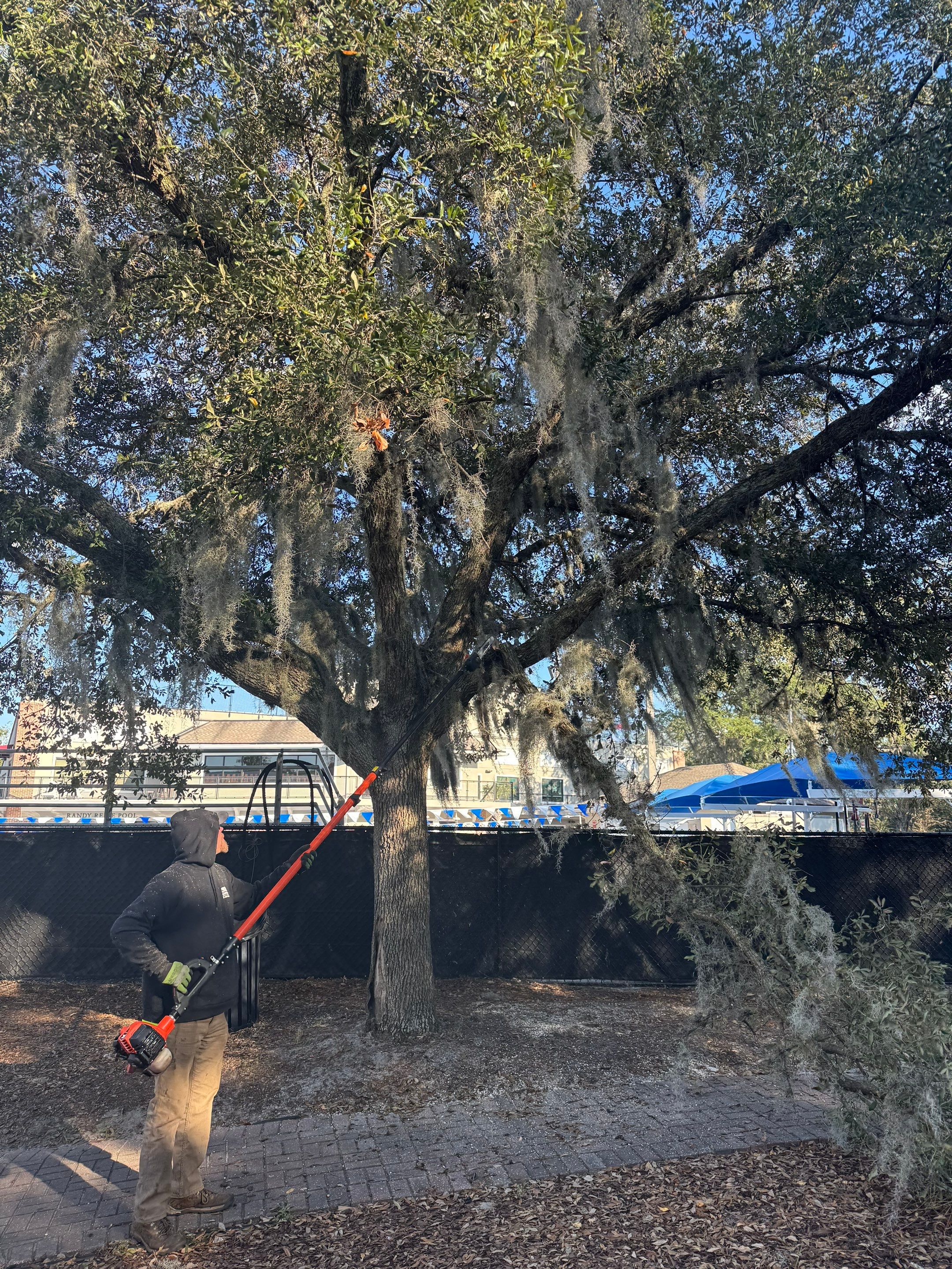 Volunteer Work | Episcopal High School of Jacksonville by ProGreen Services
