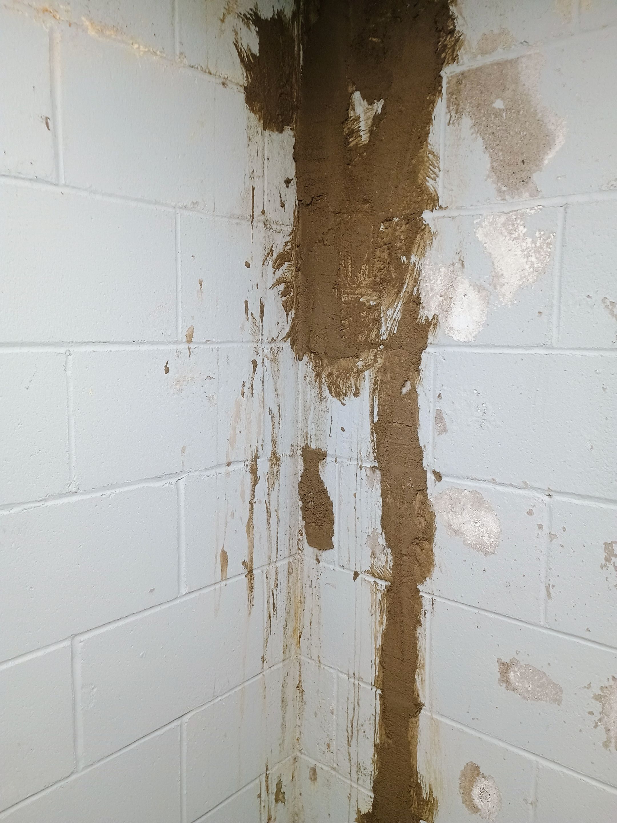 Depressurizing Denny's Basement Wall by Waterproofing Northeast