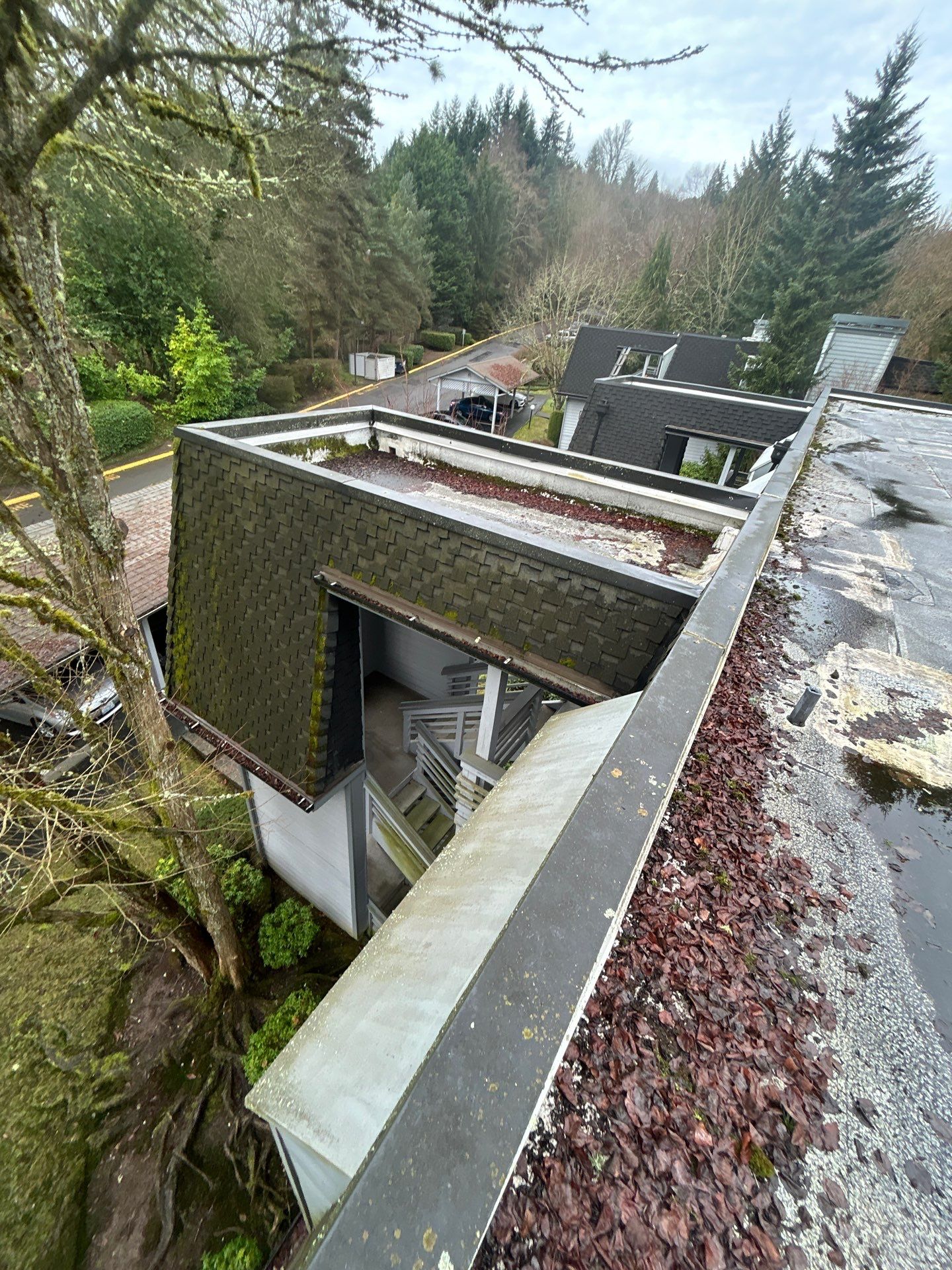 Project in Kirkland by Peaks and Valleys Construction