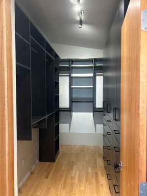 Black Riftwood Primary Closet in Centennial