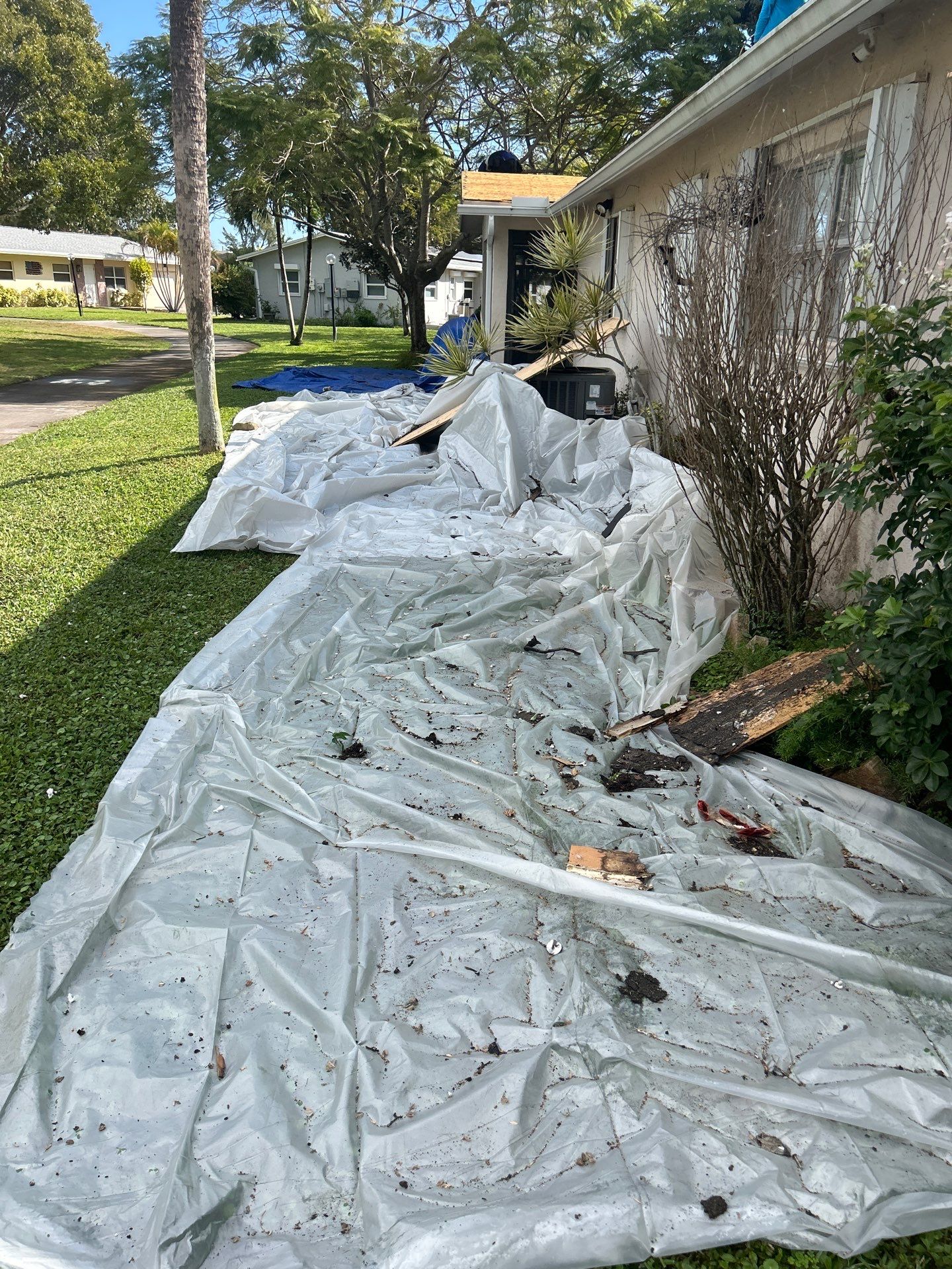 SHINGLE ROOF  by Windows Roofs Plus Inc.
