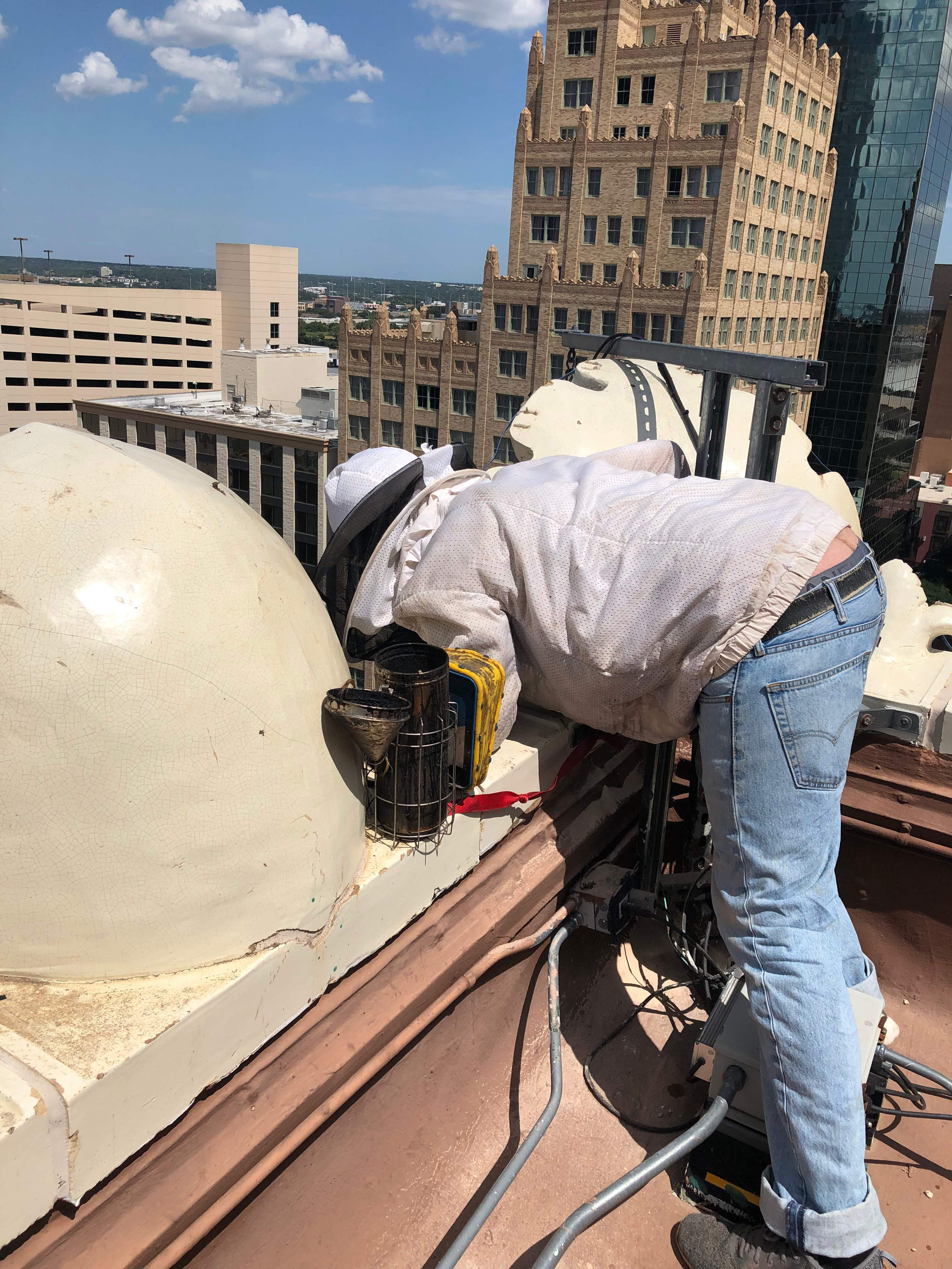 Downtown Highrise by Rockwall Honey Bee Company