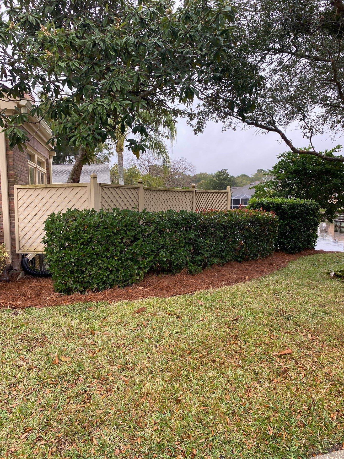 Deerwood Pointe | Tree Removal & Pine Straw Installation by ProGreen Services