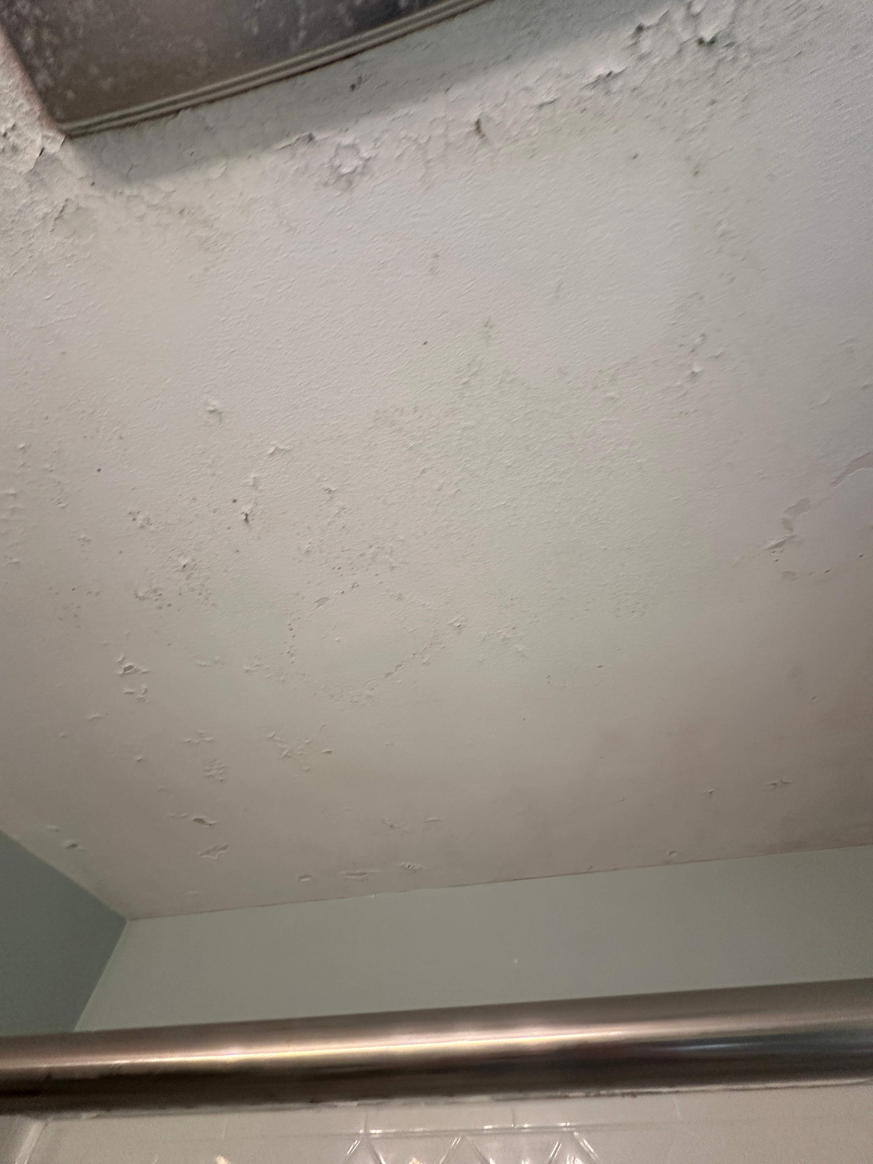 Bathroom Mold Remediation by Home Guarantee, LLC
