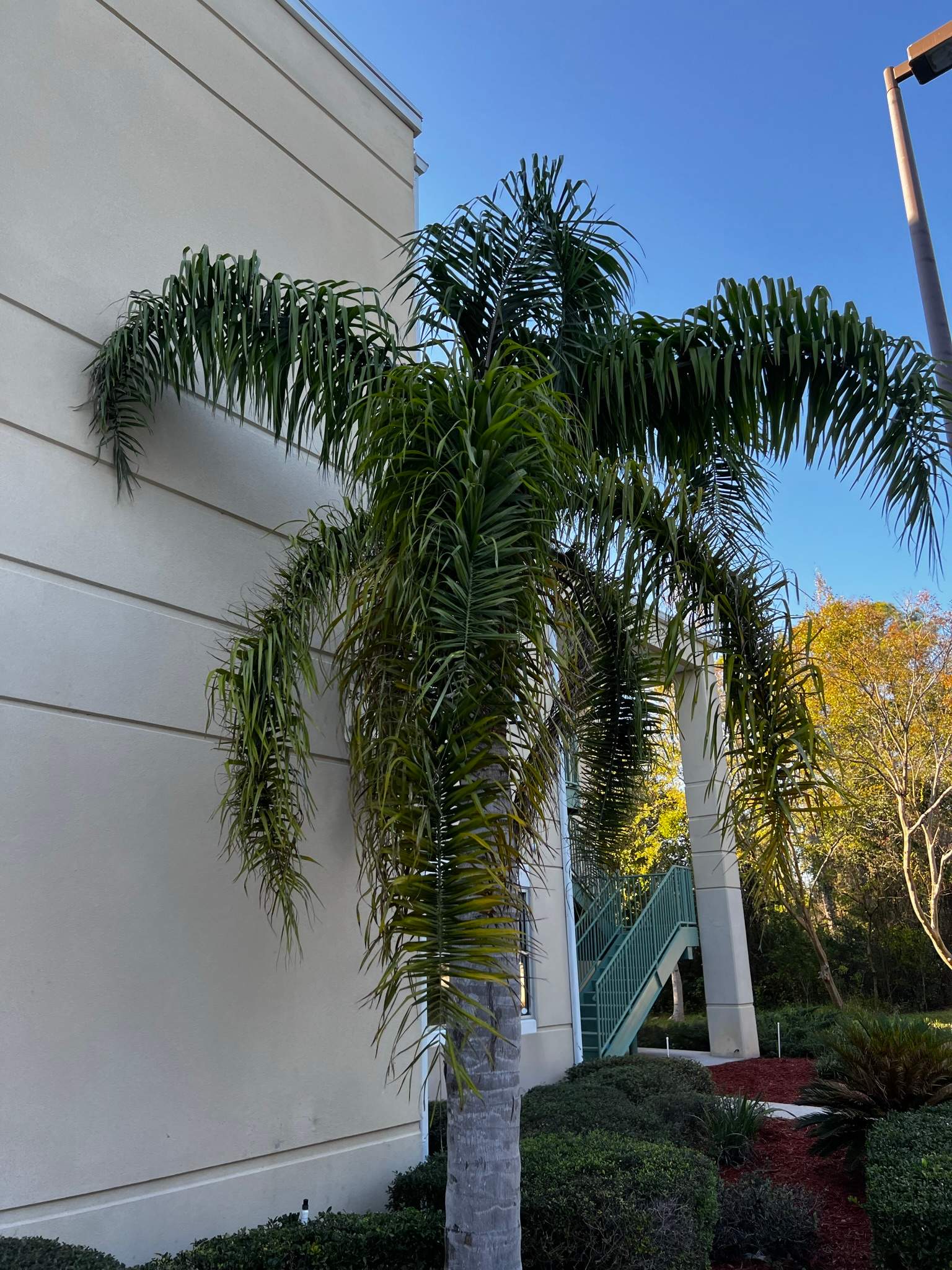 Landscape Project | Simonic Accounting by ProGreen Services