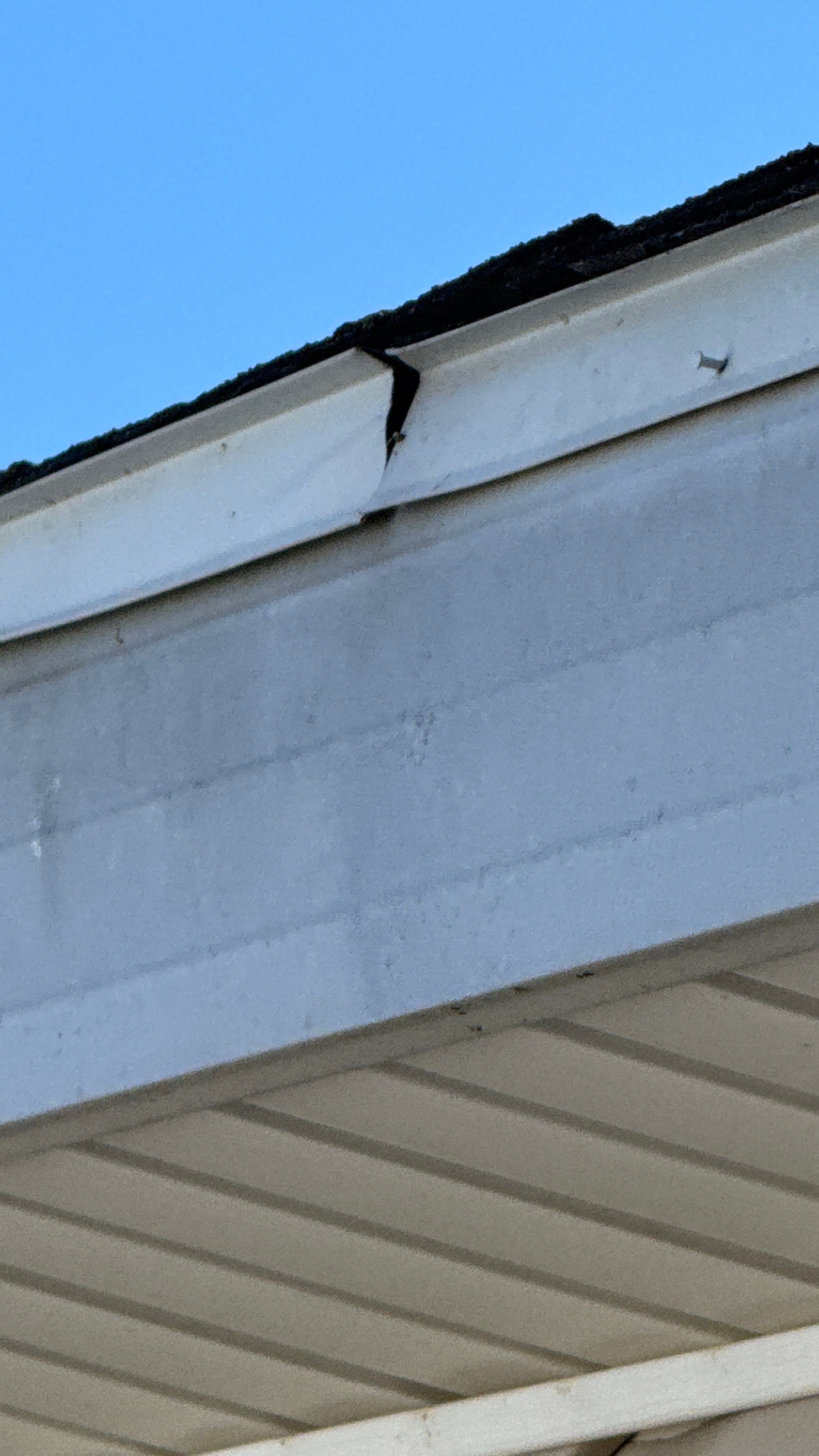 Roof Leak Repair + Fascia/Drip Edge & Gutter Reset - Belleville, IL by Legendary Services Company LLC.