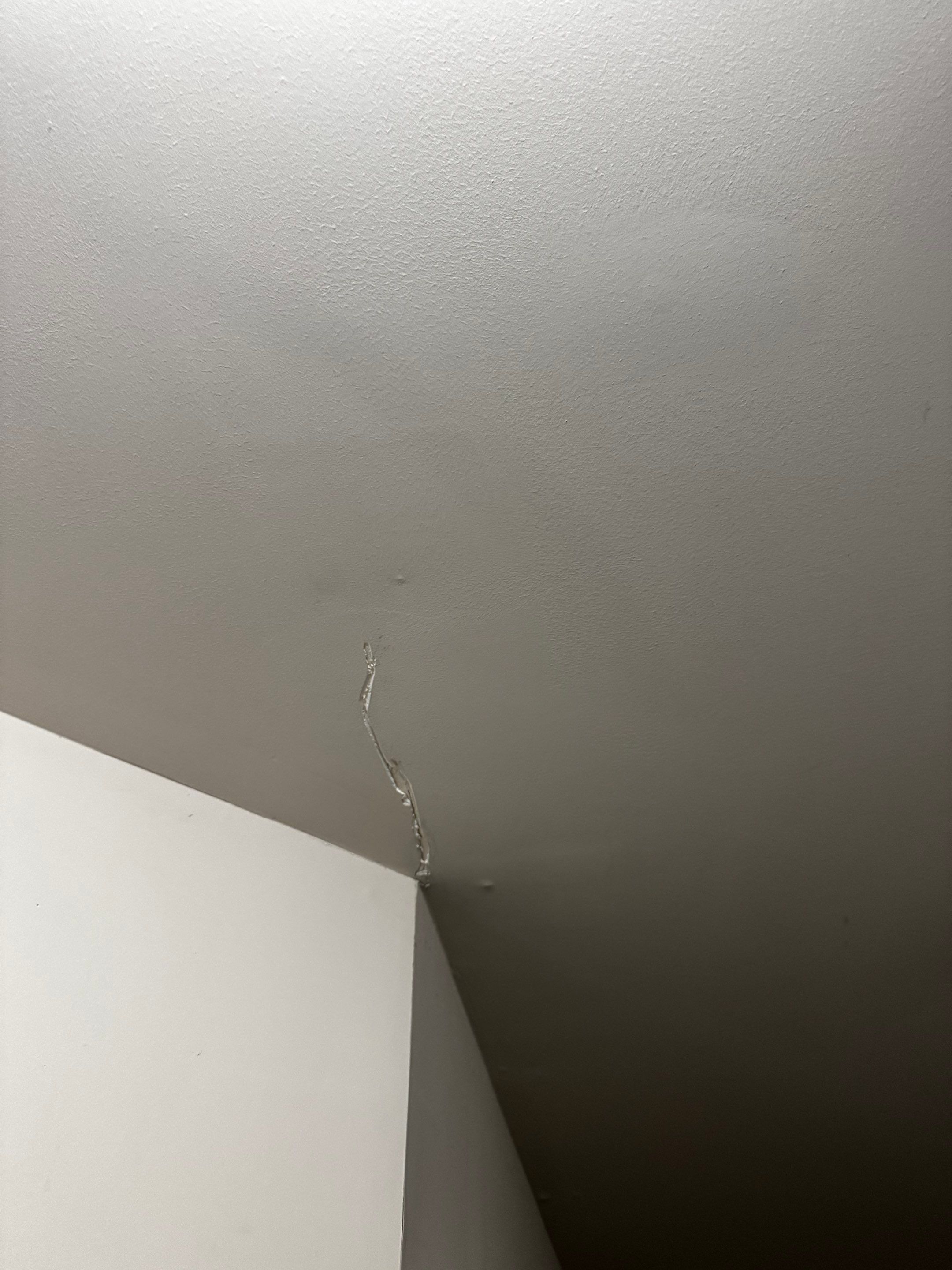 Water Damaged Closet Ceiling and Drywall Repair by PGP Surface Solutions, LLC