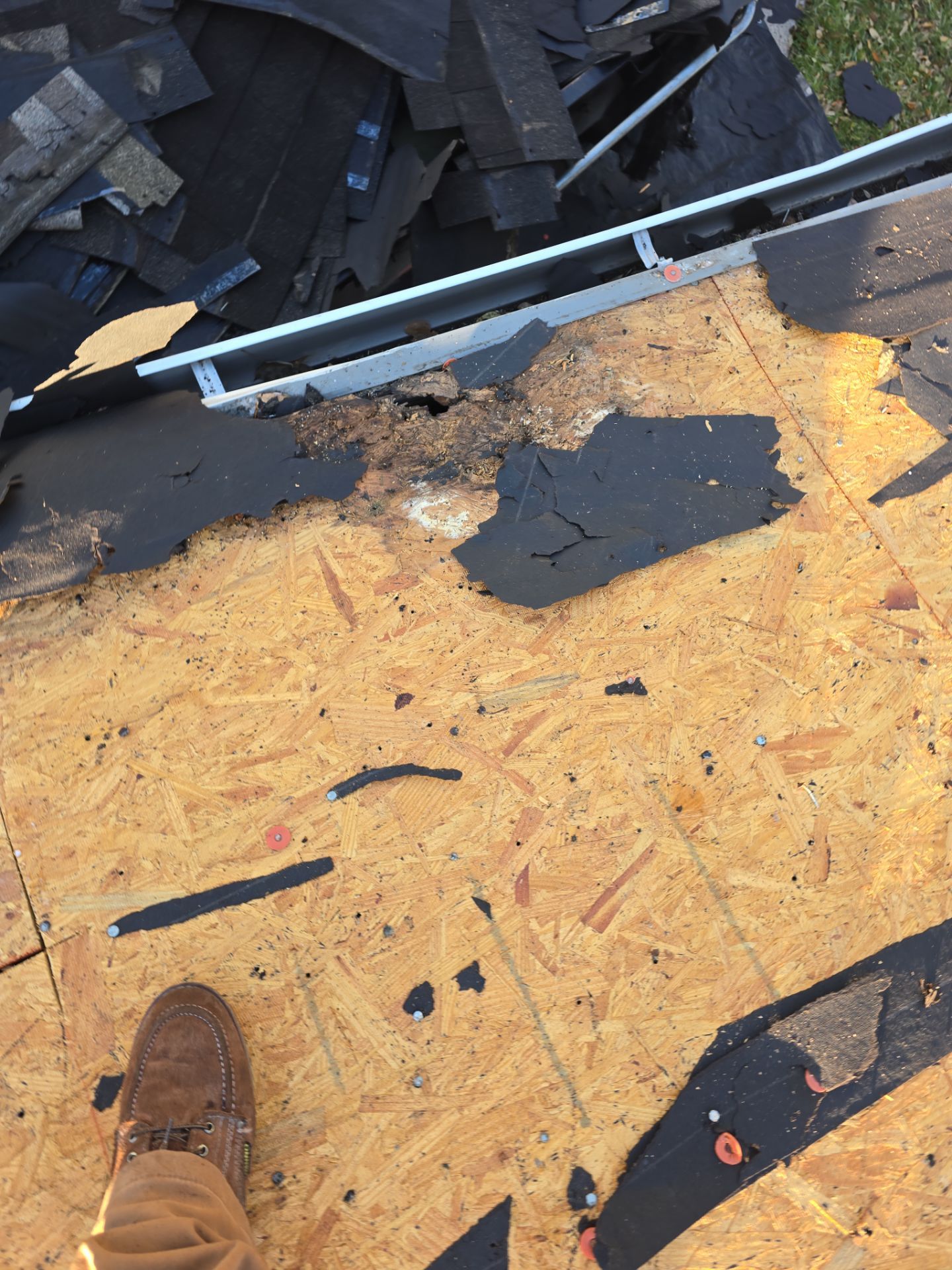 Roof Replacement Spring by Roof Repair Company