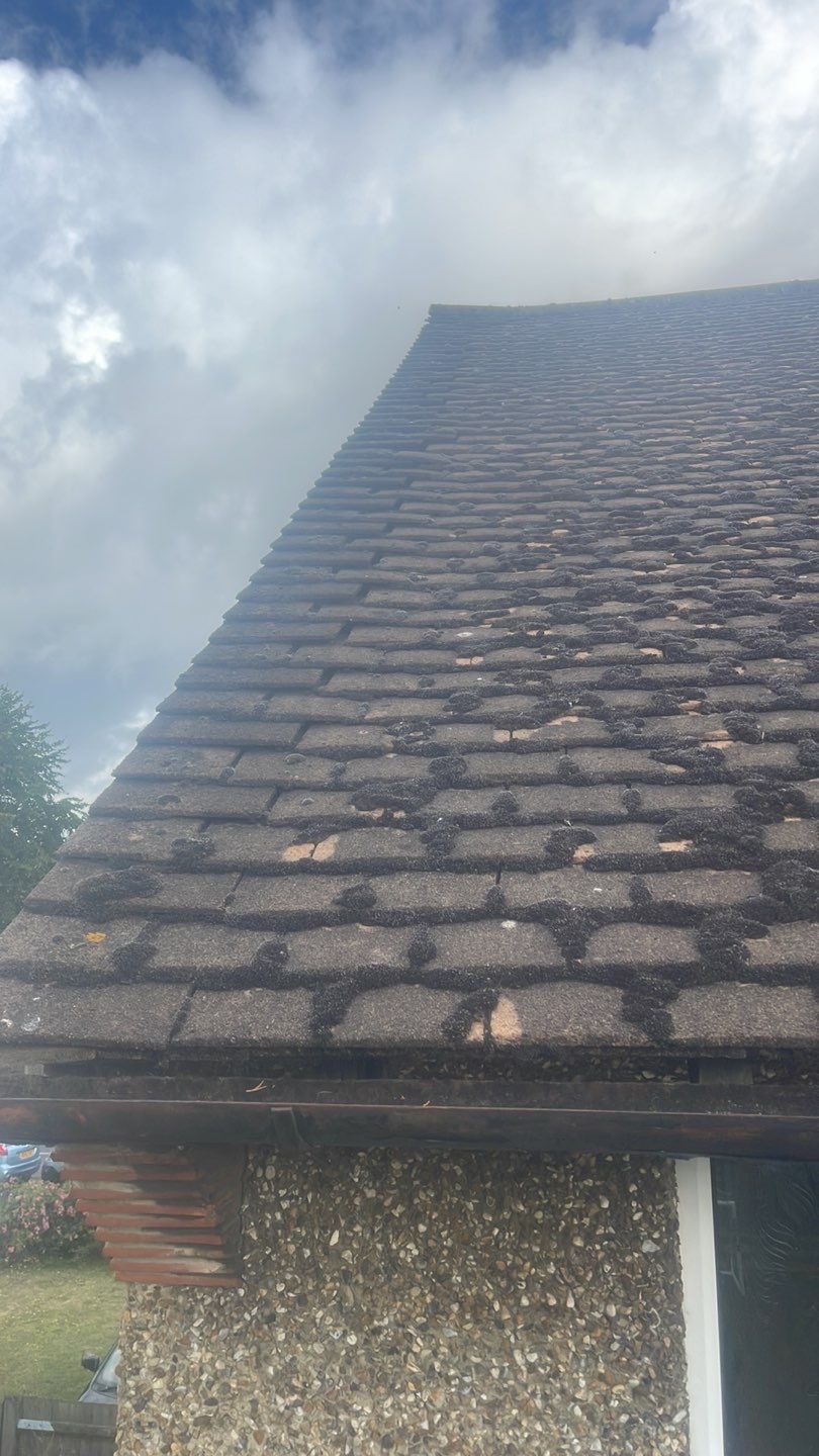 Roof Clean  - Moss Removal - Gutter Clean using Honda 15lpm Low Pressure Washing Machine by Ges Exterior Cleaning ltd