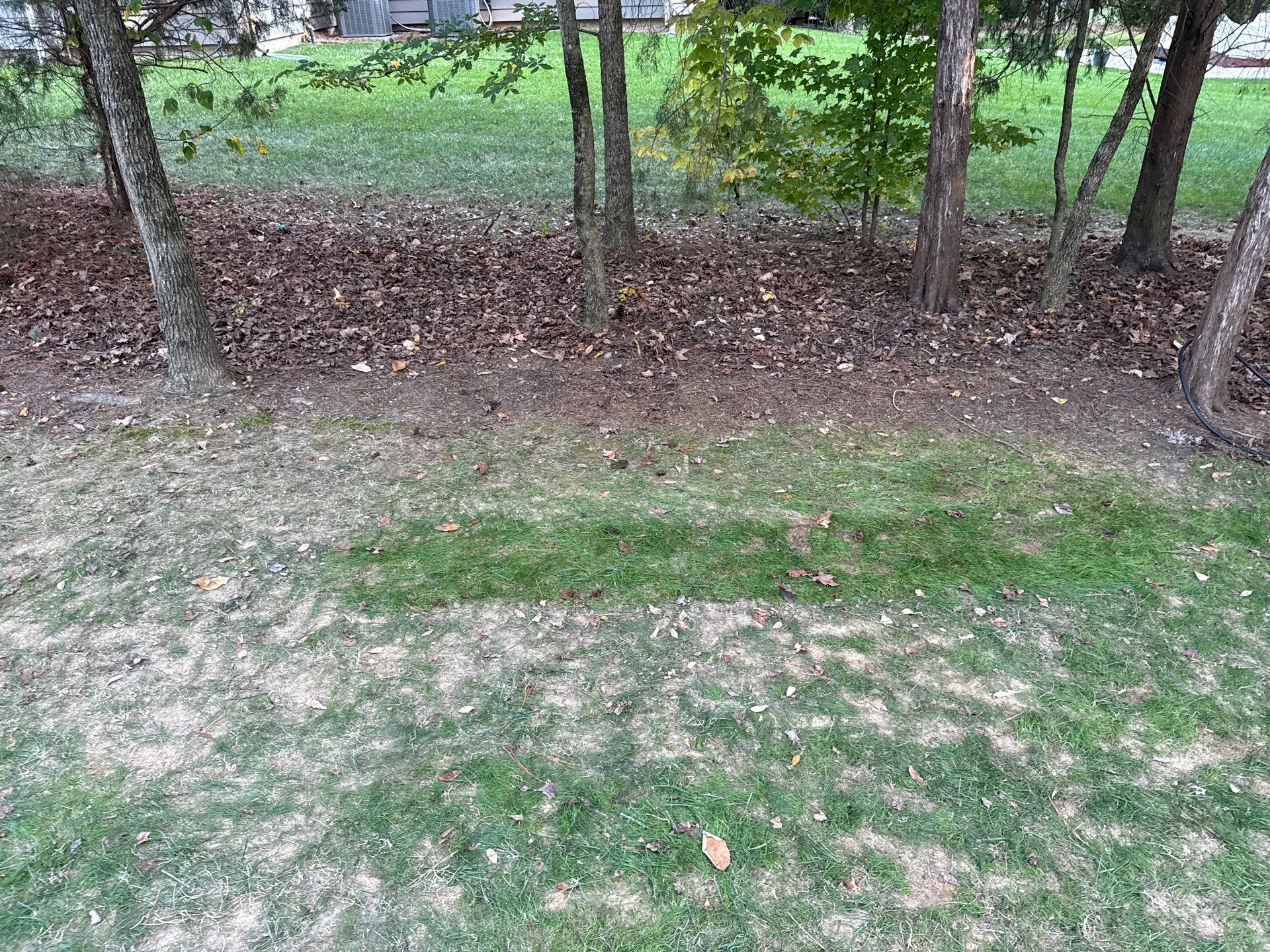 Project in Matthews by Badger Hauling