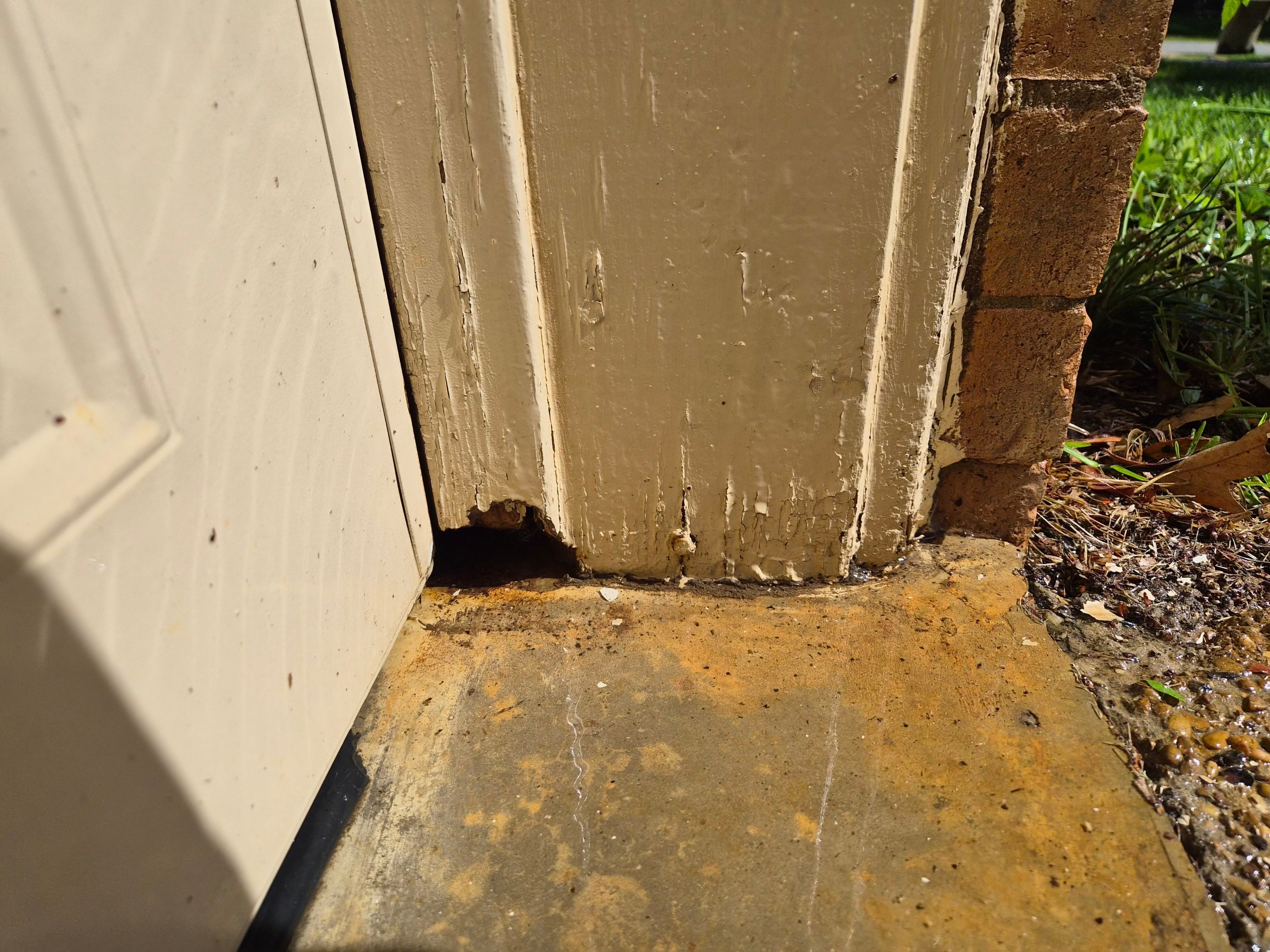 From Prep to Perfect Finish by Quality Coats Painting