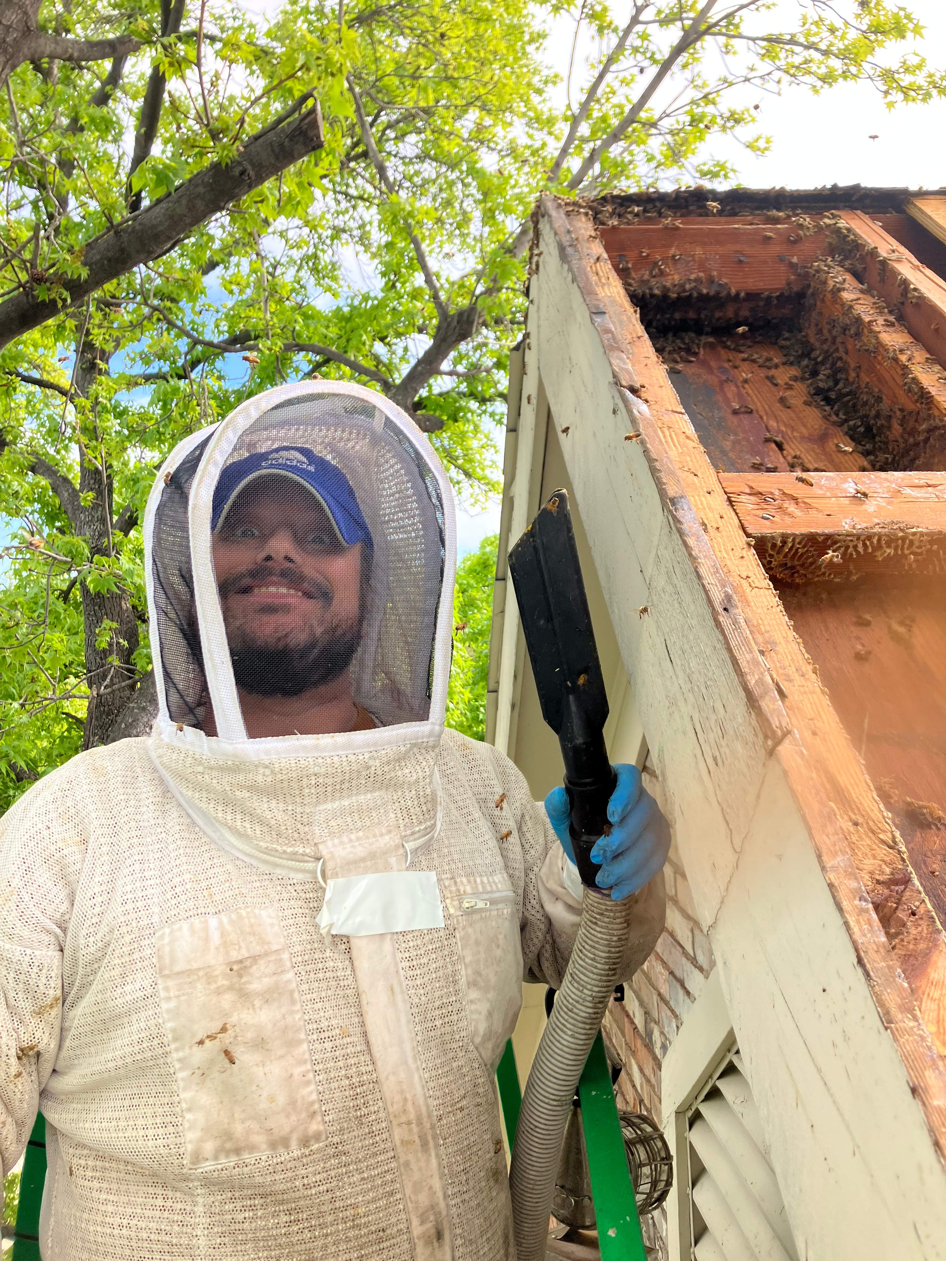 Commercial Roof by Rockwall Honey Bee Company