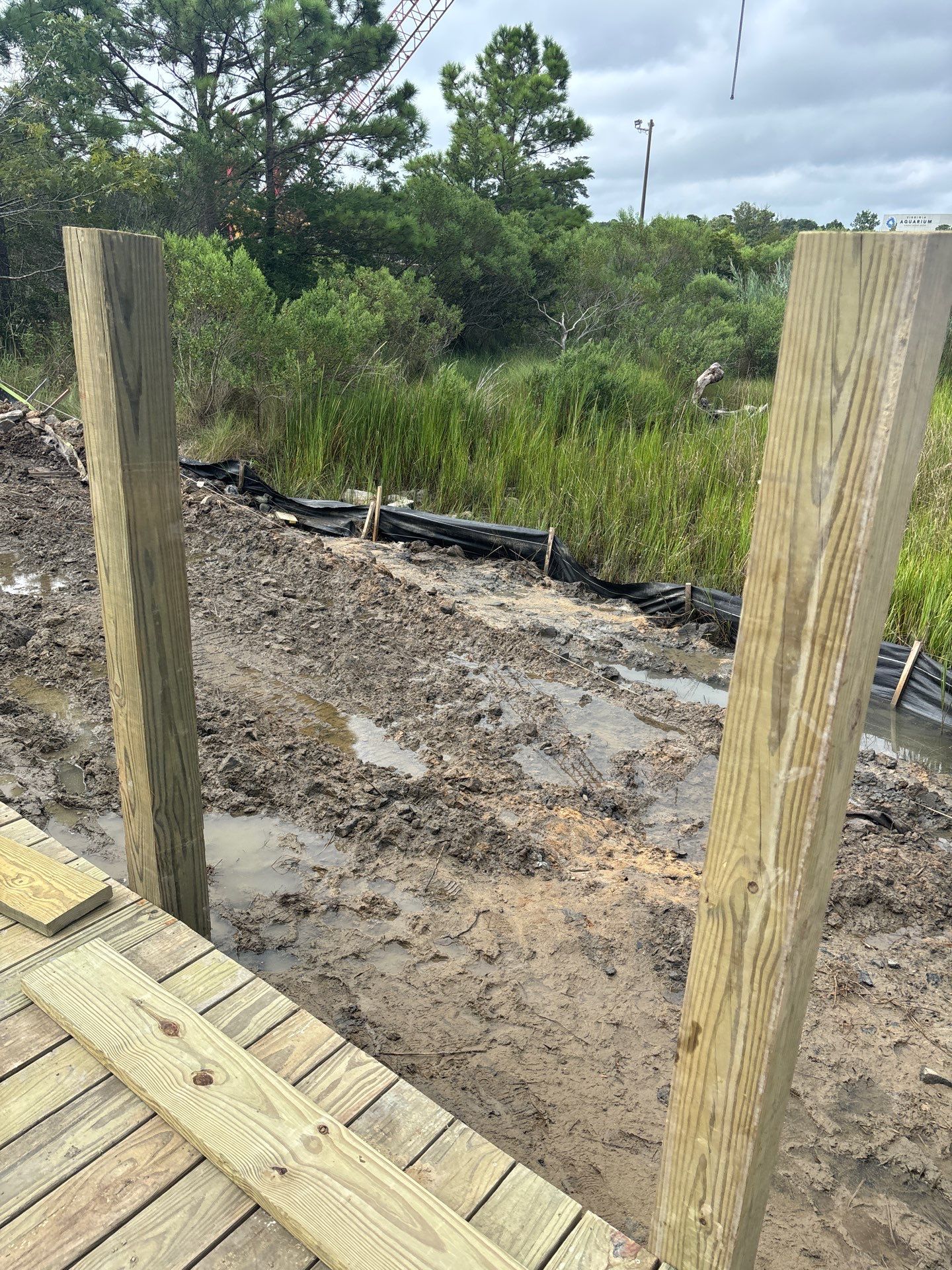 Project in Virginia Beach by Gregory Sandstrom