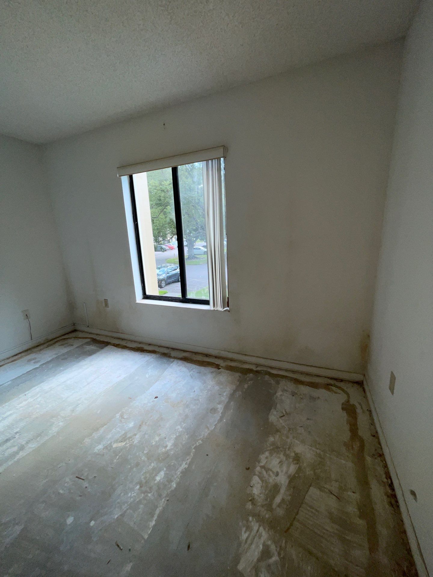 Horder house with Mold and Bacterial Contamination Issues  by Bay Coast Restoration 