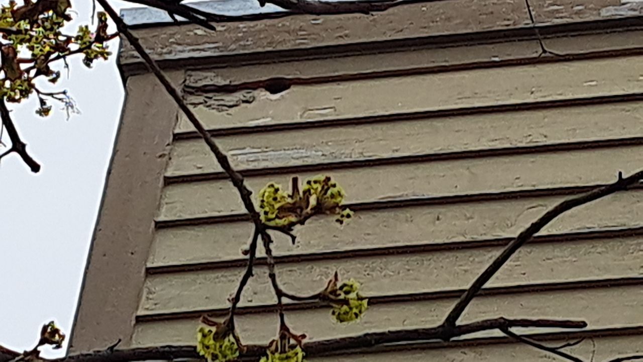 Bye Bye Cedar Siding ! Hello Misty Shadow!  by Gellings Roofing & Siding