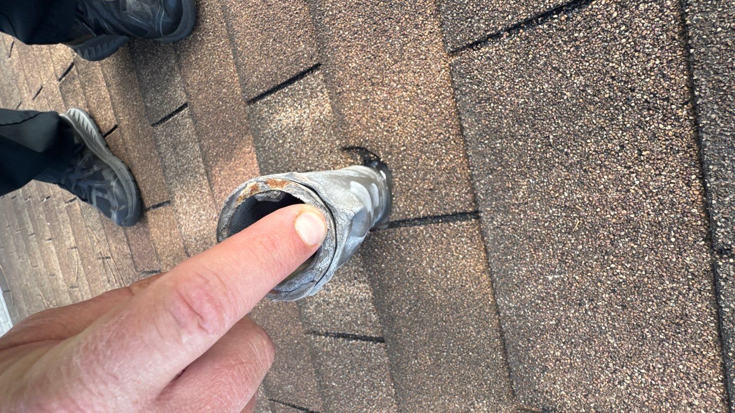 BARB C. by Boss Hogg Roofing