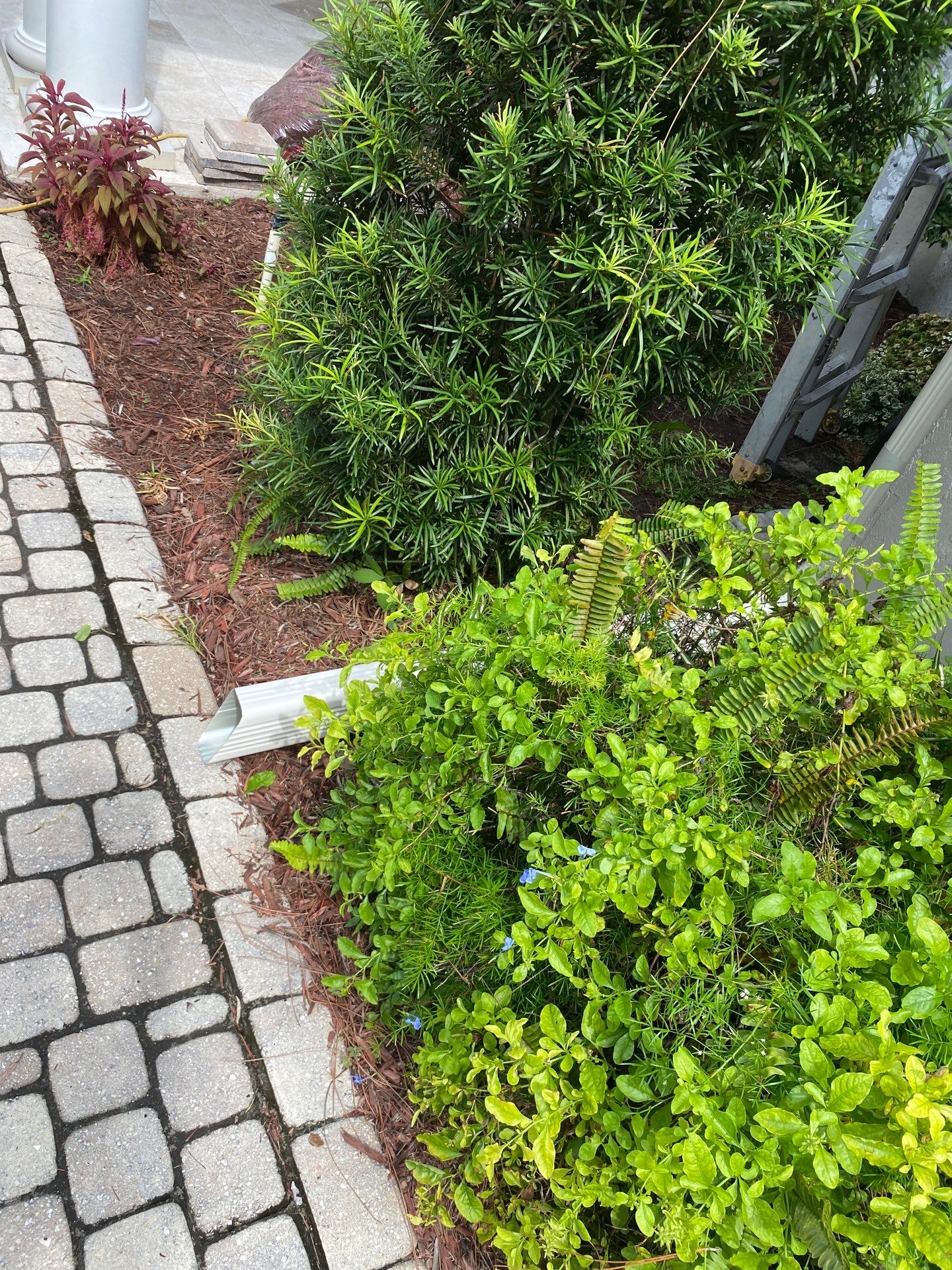 Black K-Style Gutters in Alva FL by Gutter Professors