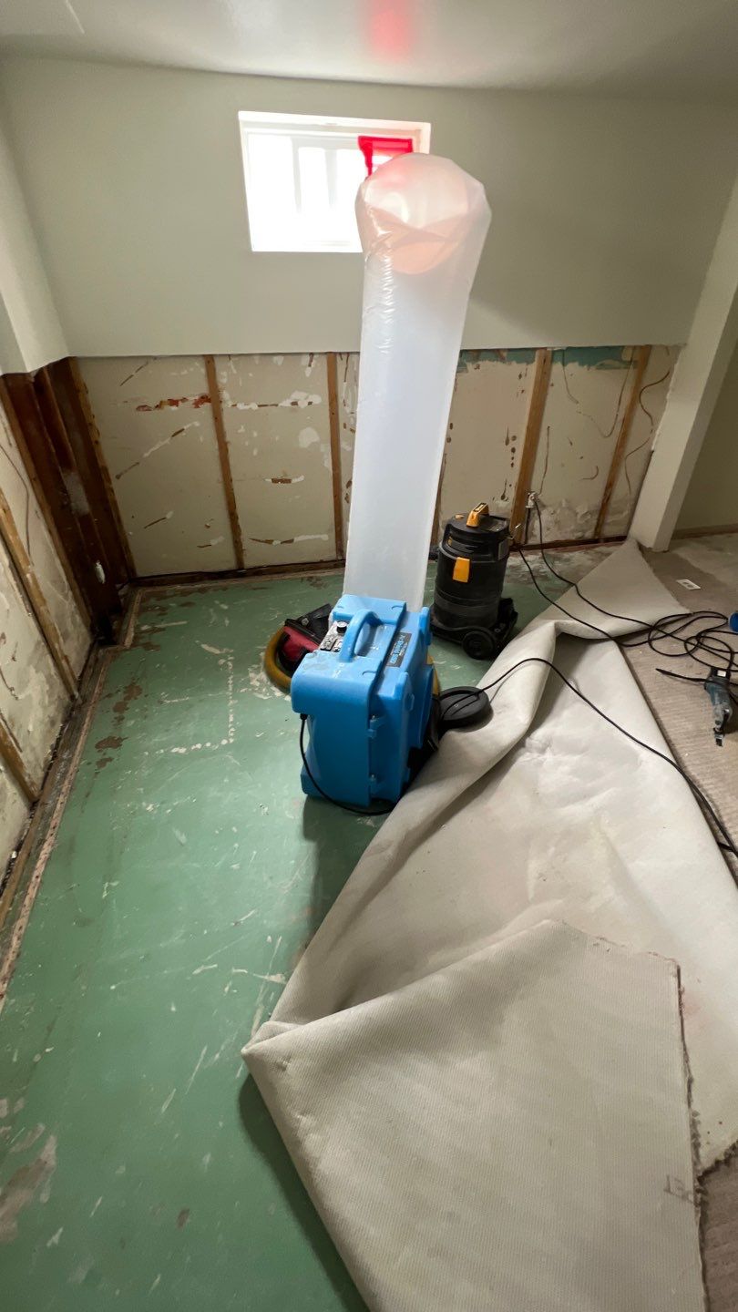 Mold Remediation by Accountable Home Services