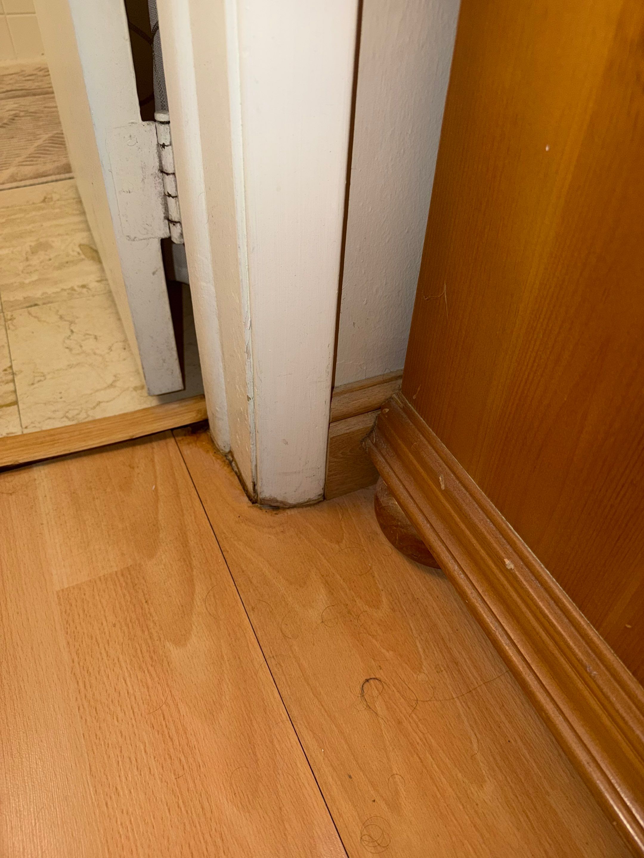 Water Damage Claim in Pompano Beach by FLAPA & KeyStone